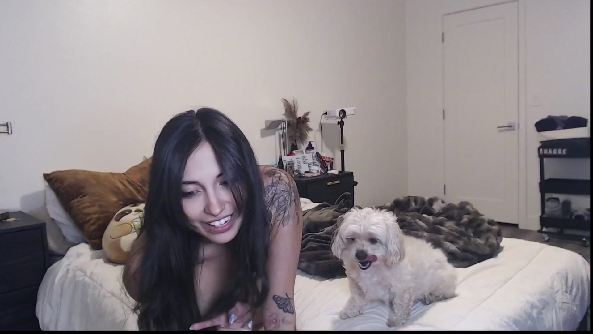 Gallery image thumbnail from Lil_bunniii's myfreecams stream on, 06/26/2025, 07:35 image 19 of 20
