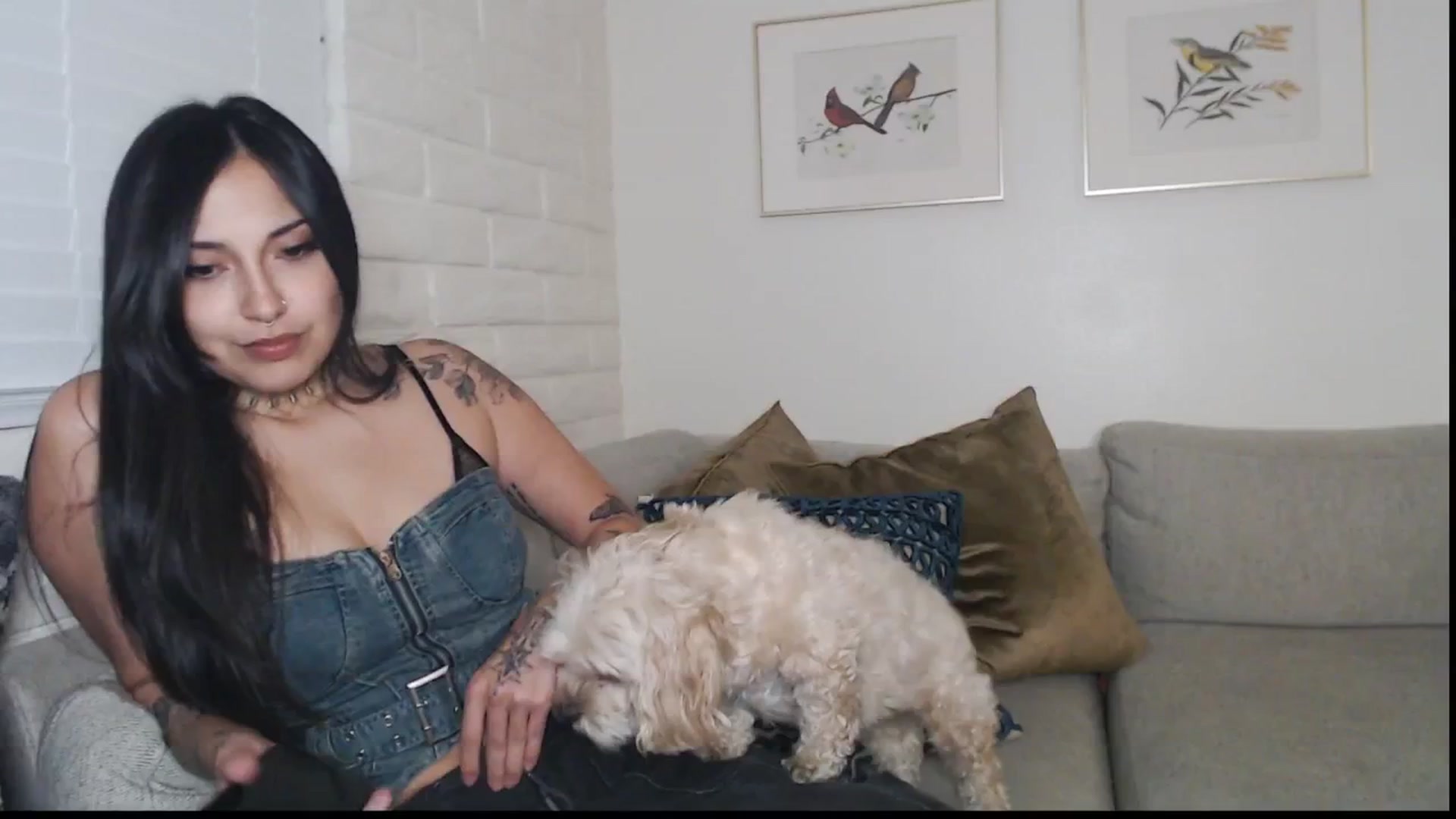 Gallery image thumbnail from Lil_bunniii's myfreecams stream on, 07/13/2025, 07:40 image 18 of 20