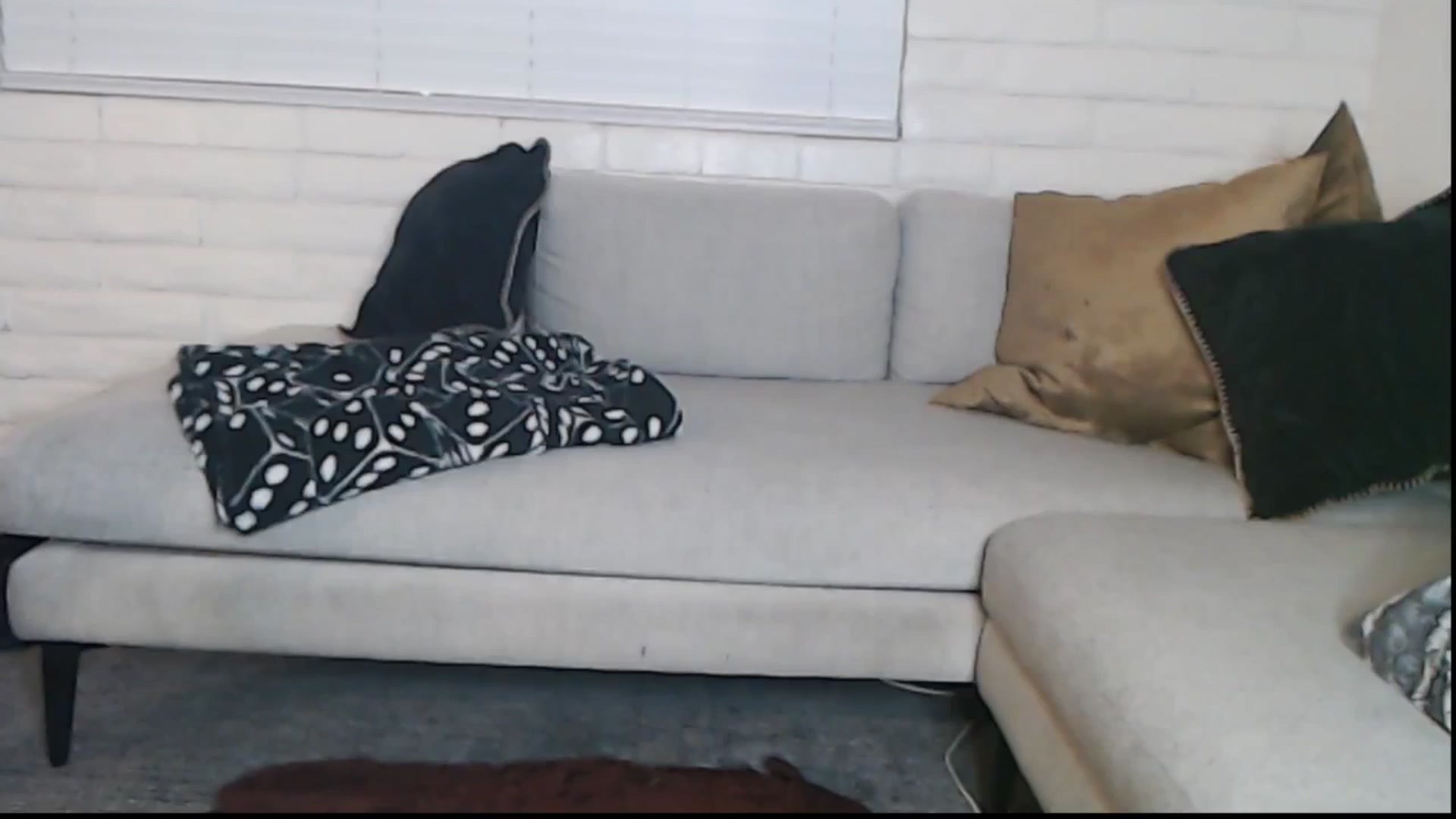 Gallery image thumbnail from Lil_bunniii's myfreecams stream on, 07/25/2025, 07:52 image 19 of 20