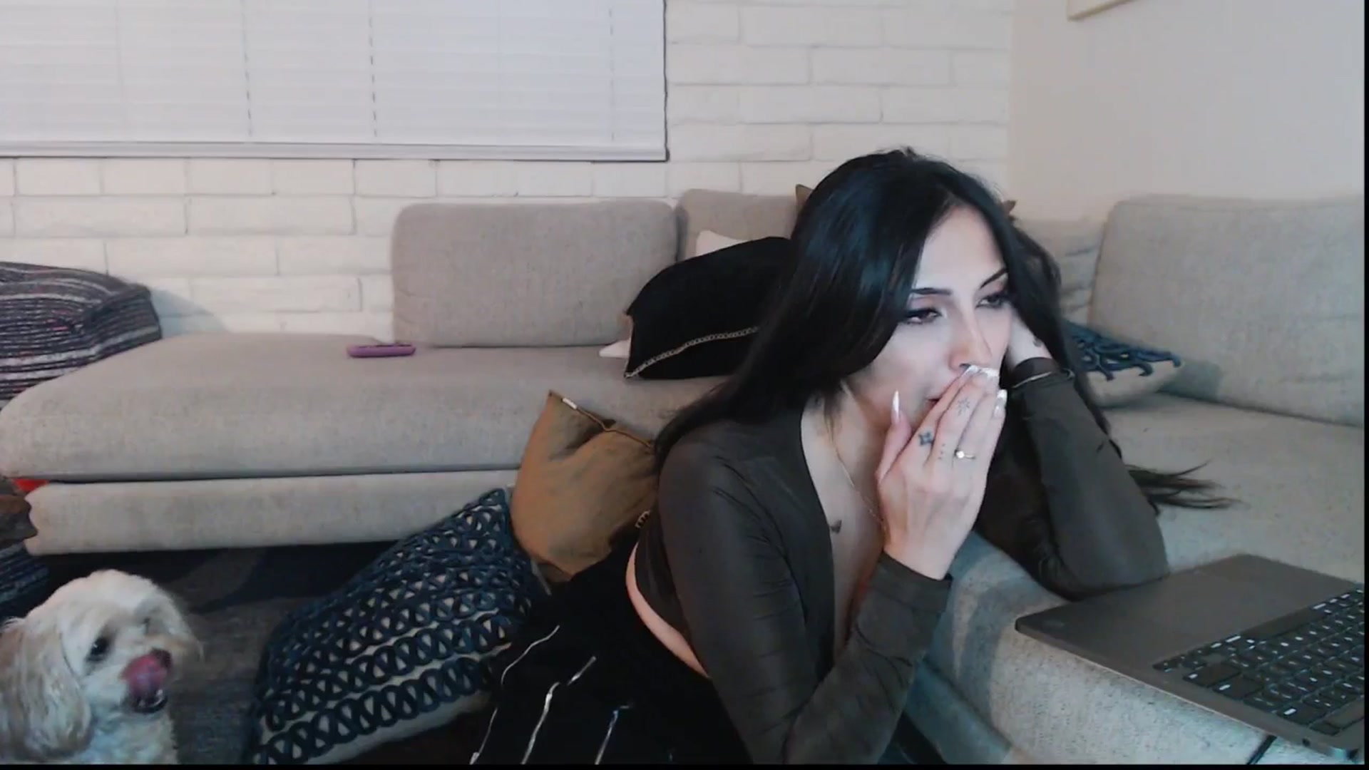Gallery image thumbnail from Lil_bunniii's myfreecams stream on, 09/06/2025, 07:15 image 4 of 20