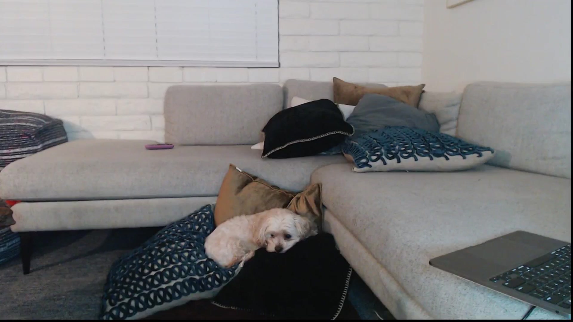 Gallery image thumbnail from Lil_bunniii's myfreecams stream on, 09/06/2025, 07:15 image 10 of 20