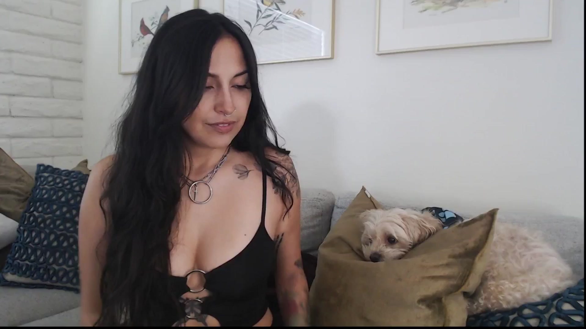 Gallery image thumbnail from Lil_bunniii's myfreecams stream on, 09/07/2025, 22:18 image 3 of 20