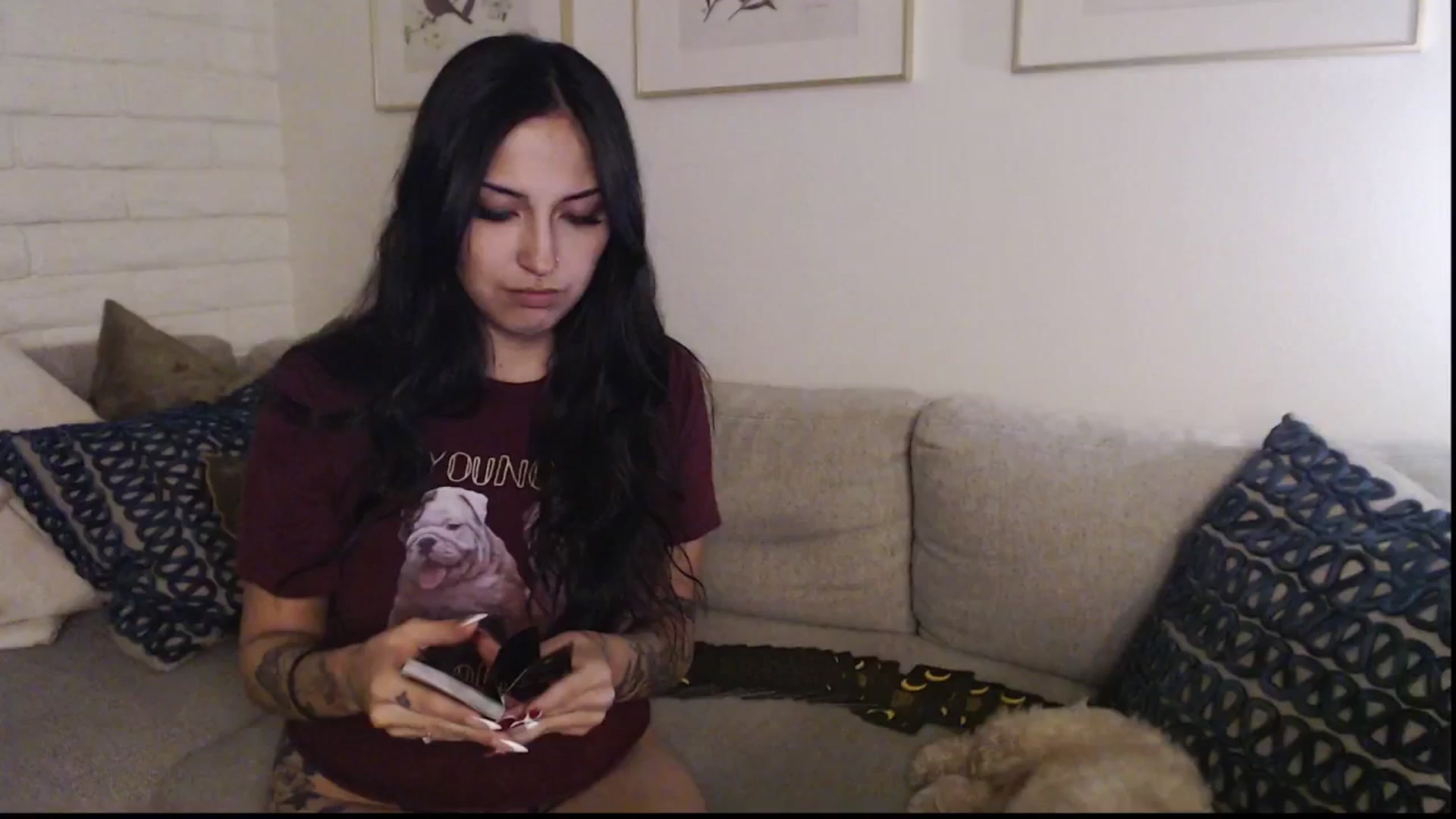 Gallery image thumbnail from Lil_bunniii's myfreecams stream on, 09/10/2025, 07:22 image 17 of 20