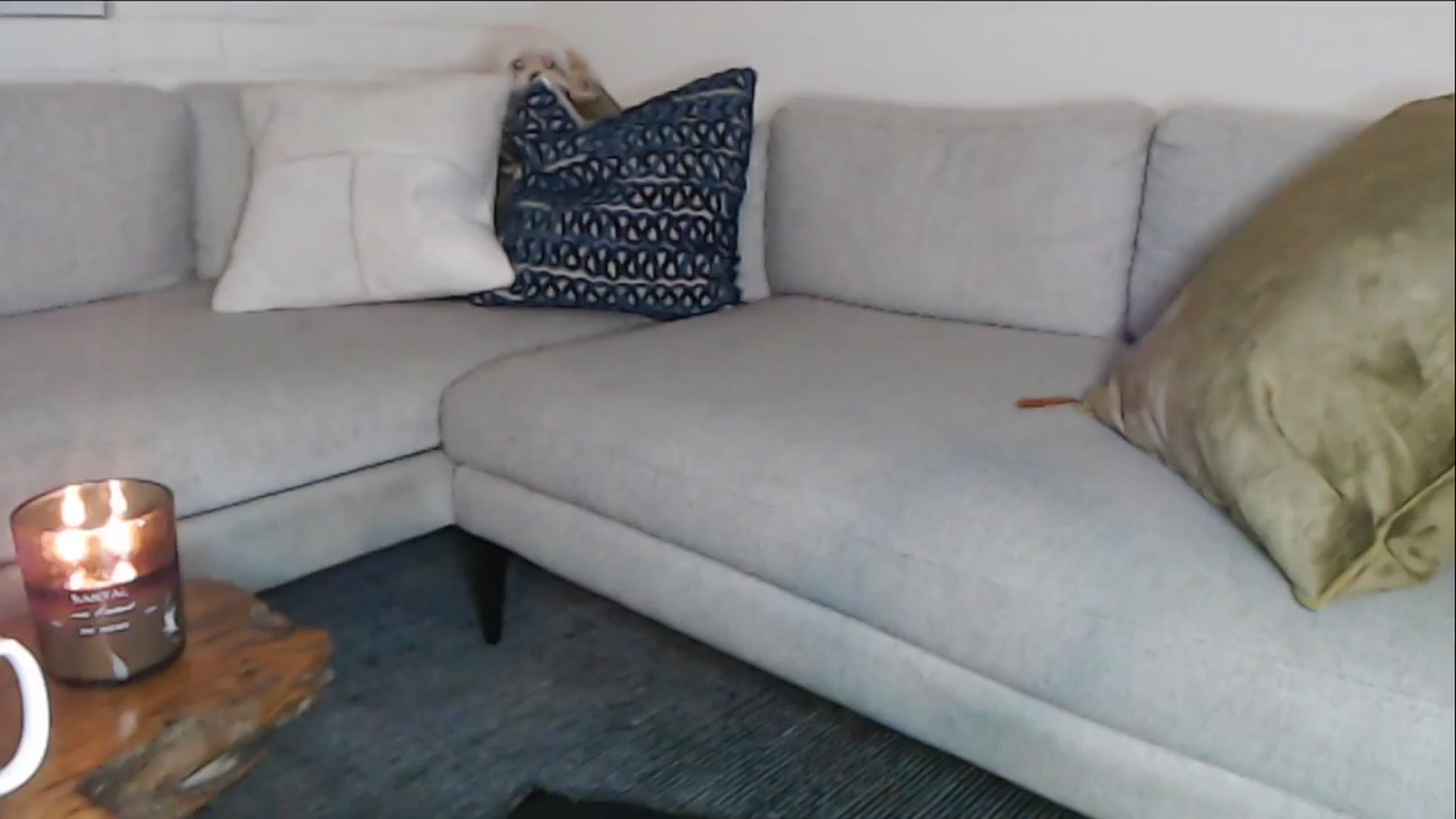 Gallery image thumbnail from Lil_bunniii's myfreecams stream on, 09/19/2025, 08:04 image 17 of 20