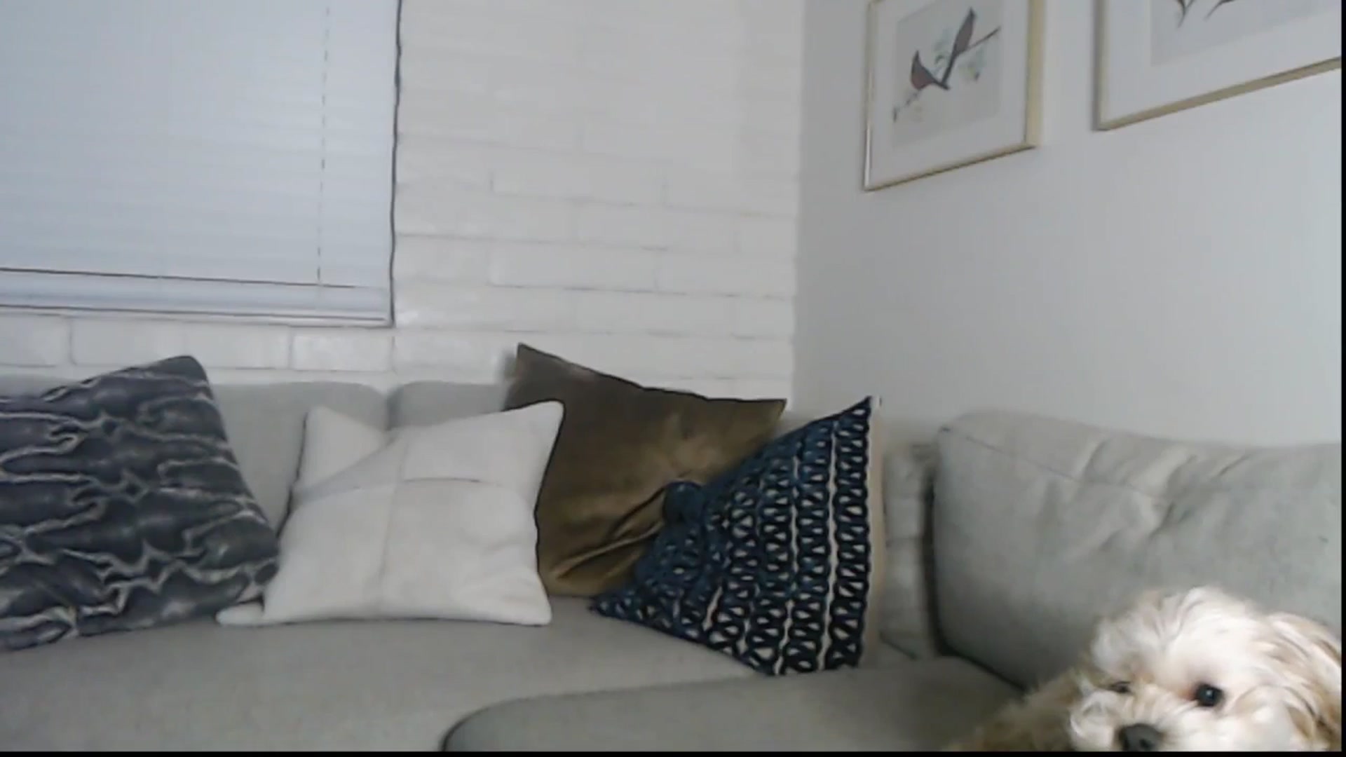 Gallery image thumbnail from Lil_bunniii's myfreecams stream on, 10/05/2025, 09:06 image 7 of 20
