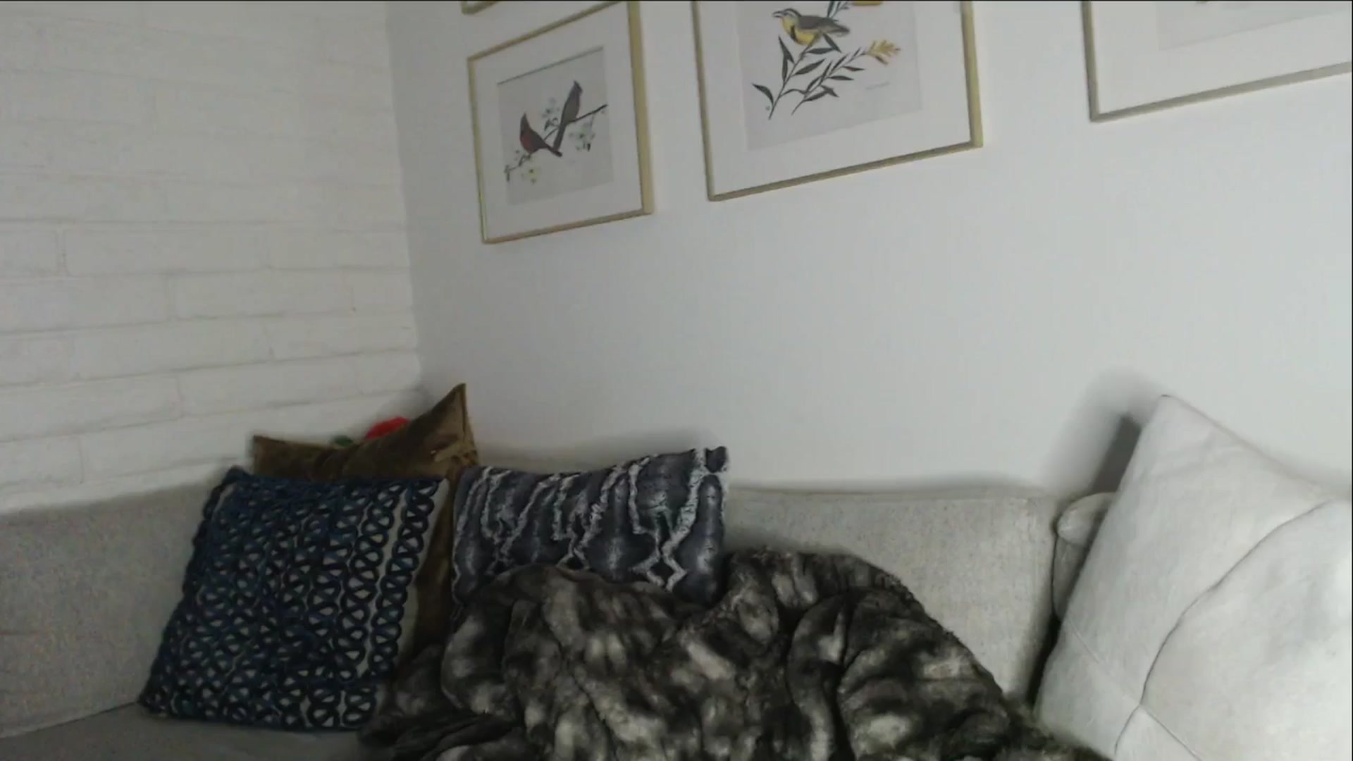 Gallery image thumbnail from Lil_bunniii's myfreecams stream on, 12/03/2025, 08:38 image 6 of 20