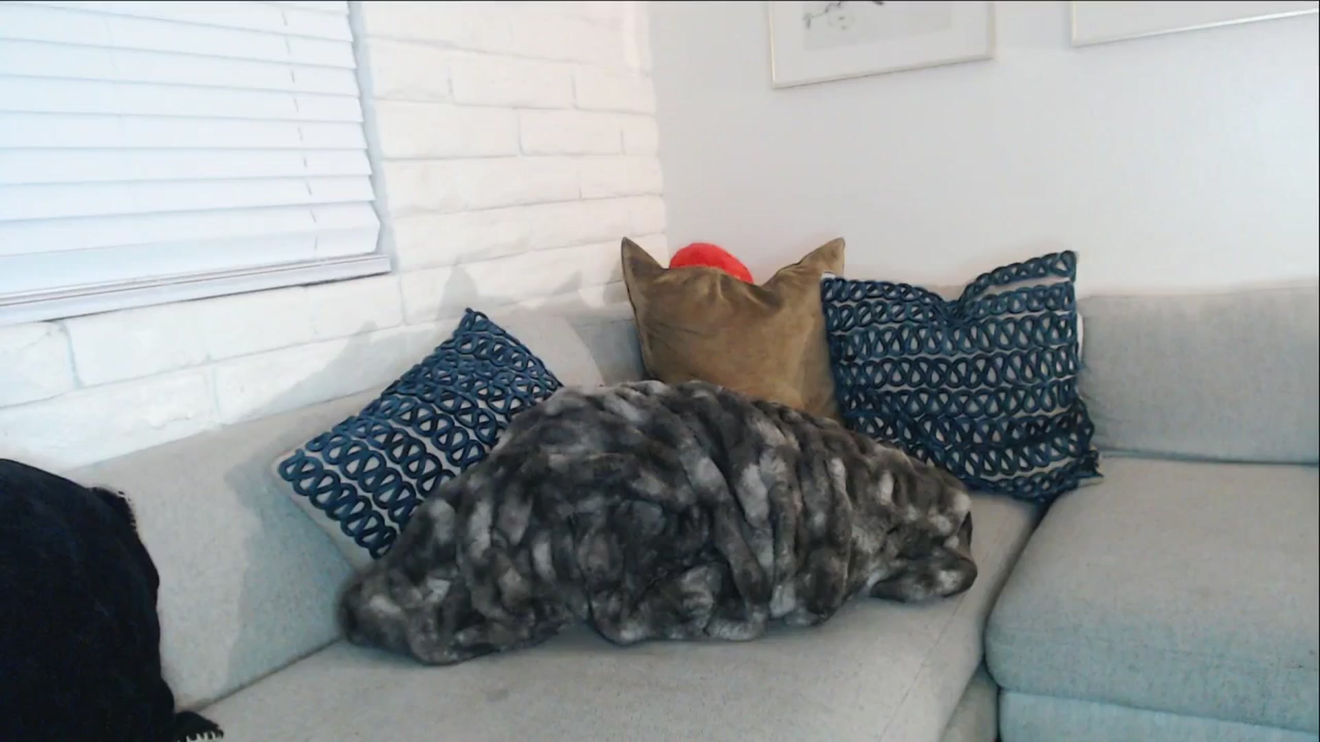 Gallery image thumbnail from Lil_bunniii's myfreecams stream on, 12/05/2025, 08:27 image 13 of 20