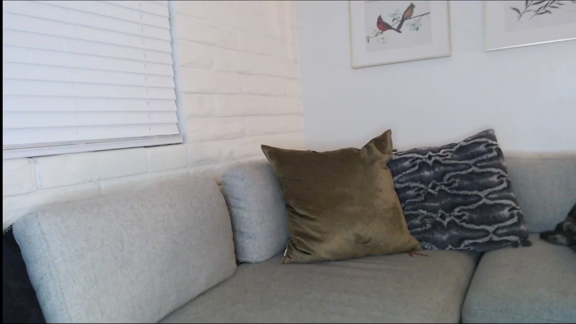 Gallery image thumbnail from Lil_bunniii's myfreecams stream on, 12/15/2025, 07:40 image 19 of 20