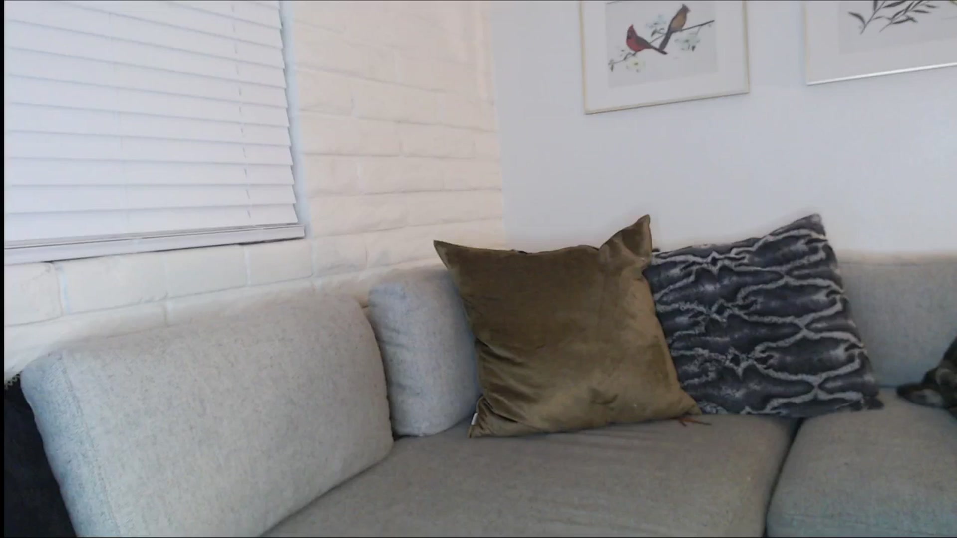 Gallery image thumbnail from Lil_bunniii's myfreecams stream on, 12/15/2025, 07:40 image 12 of 20