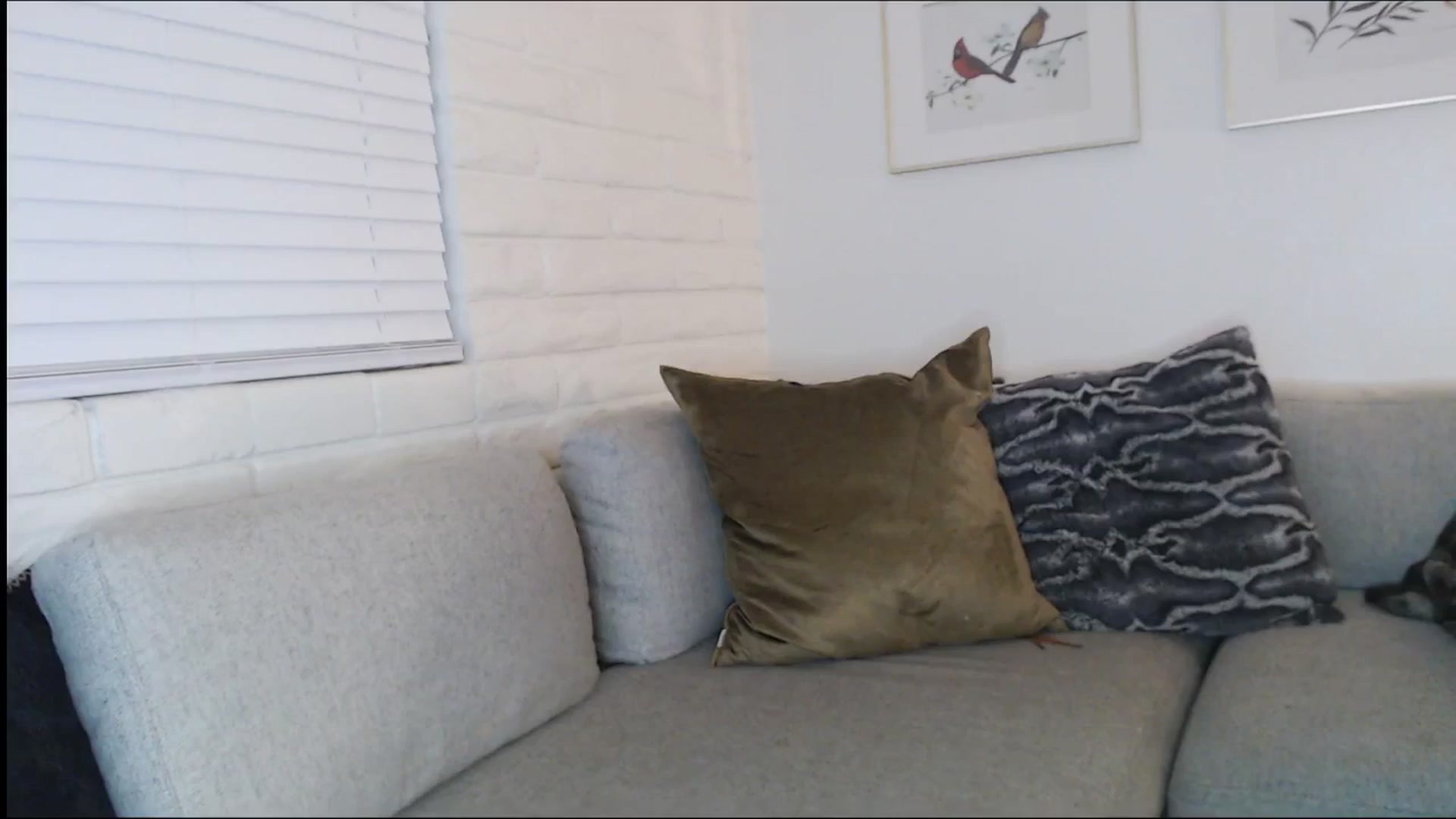 Gallery image thumbnail from Lil_bunniii's myfreecams stream on, 12/15/2025, 07:40 image 20 of 20