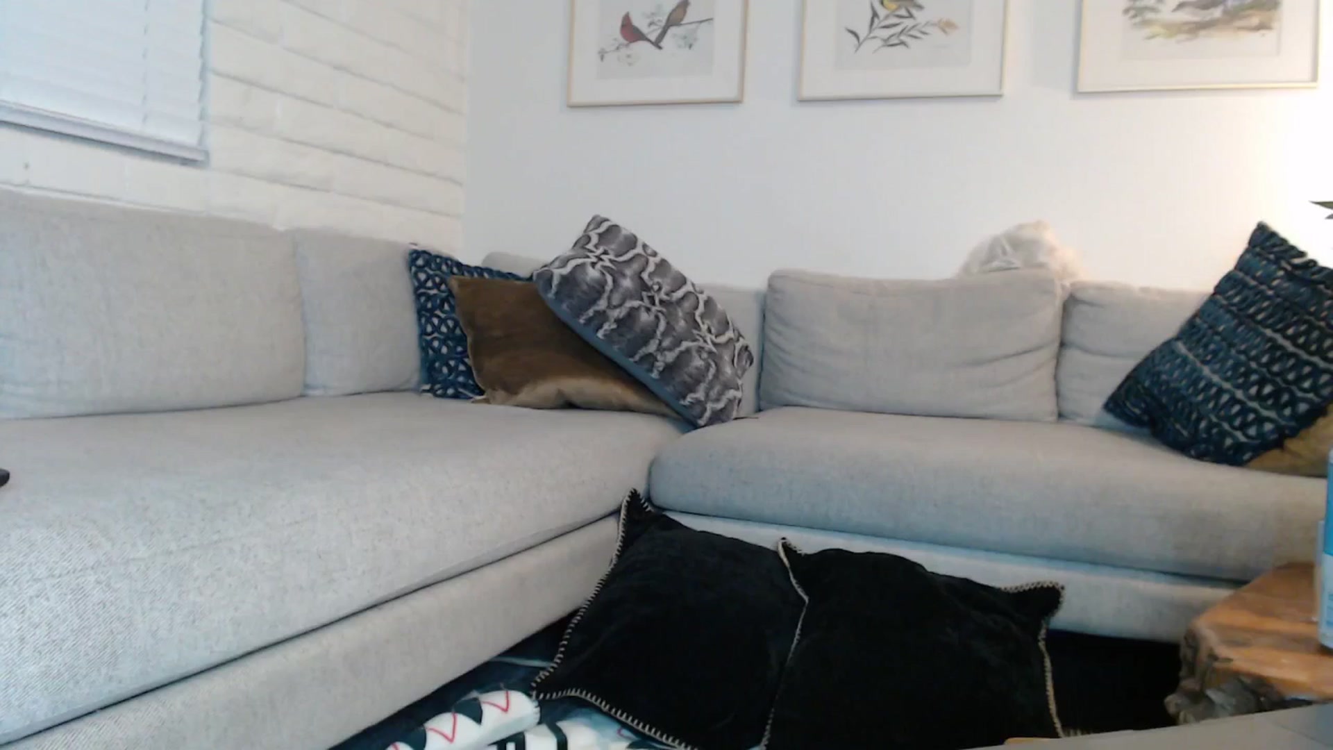 Gallery image thumbnail from Lil_bunniii's myfreecams stream on, 04/04/2026, 08:07 image 20 of 20
