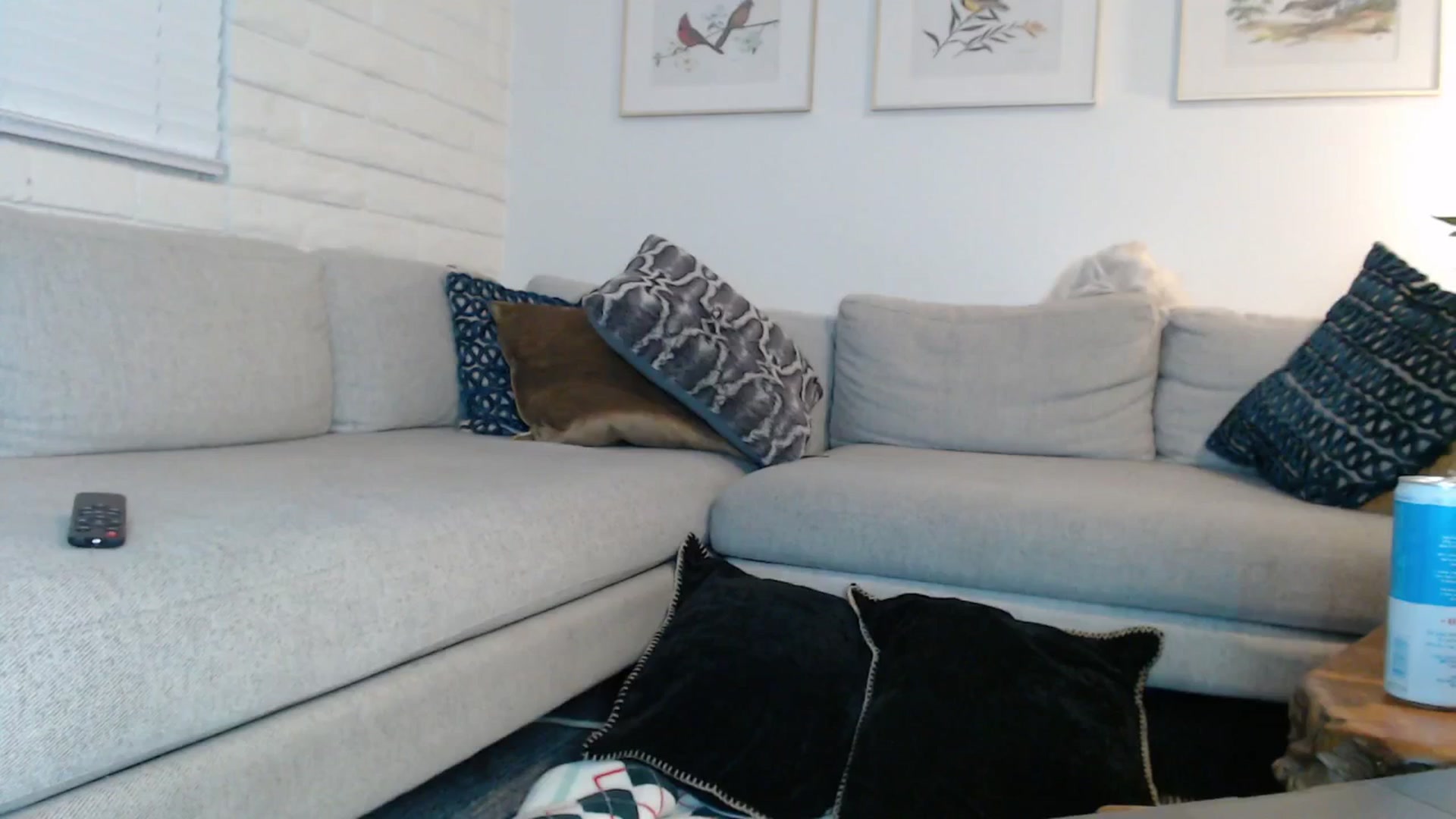 Gallery image thumbnail from Lil_bunniii's myfreecams stream on, 04/04/2026, 08:07 image 17 of 20