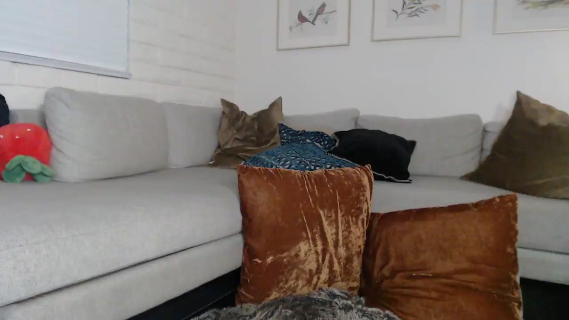 Gallery image thumbnail from Lil_bunniii's myfreecams stream on, 05/24/2026, 08:06 image 17 of 20