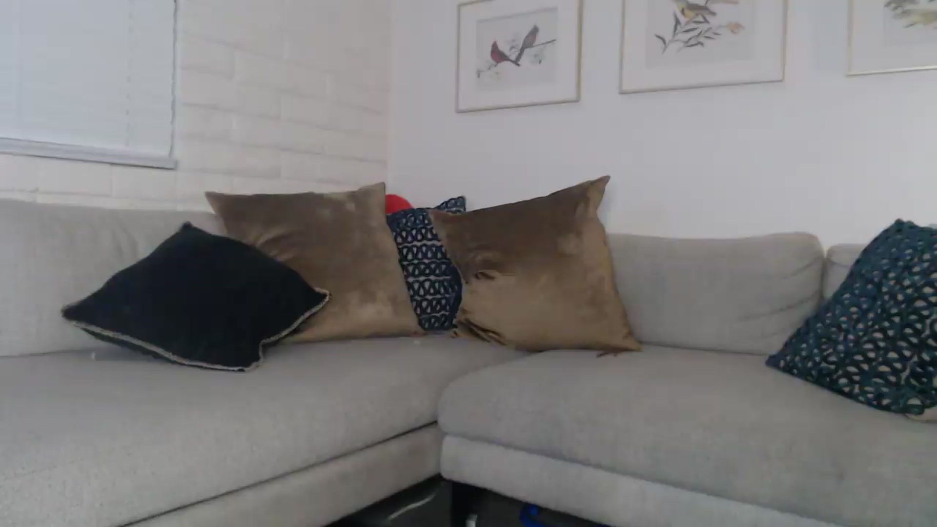 Gallery image thumbnail from Lil_bunniii's myfreecams stream on, 06/09/2026, 07:23 image 17 of 20