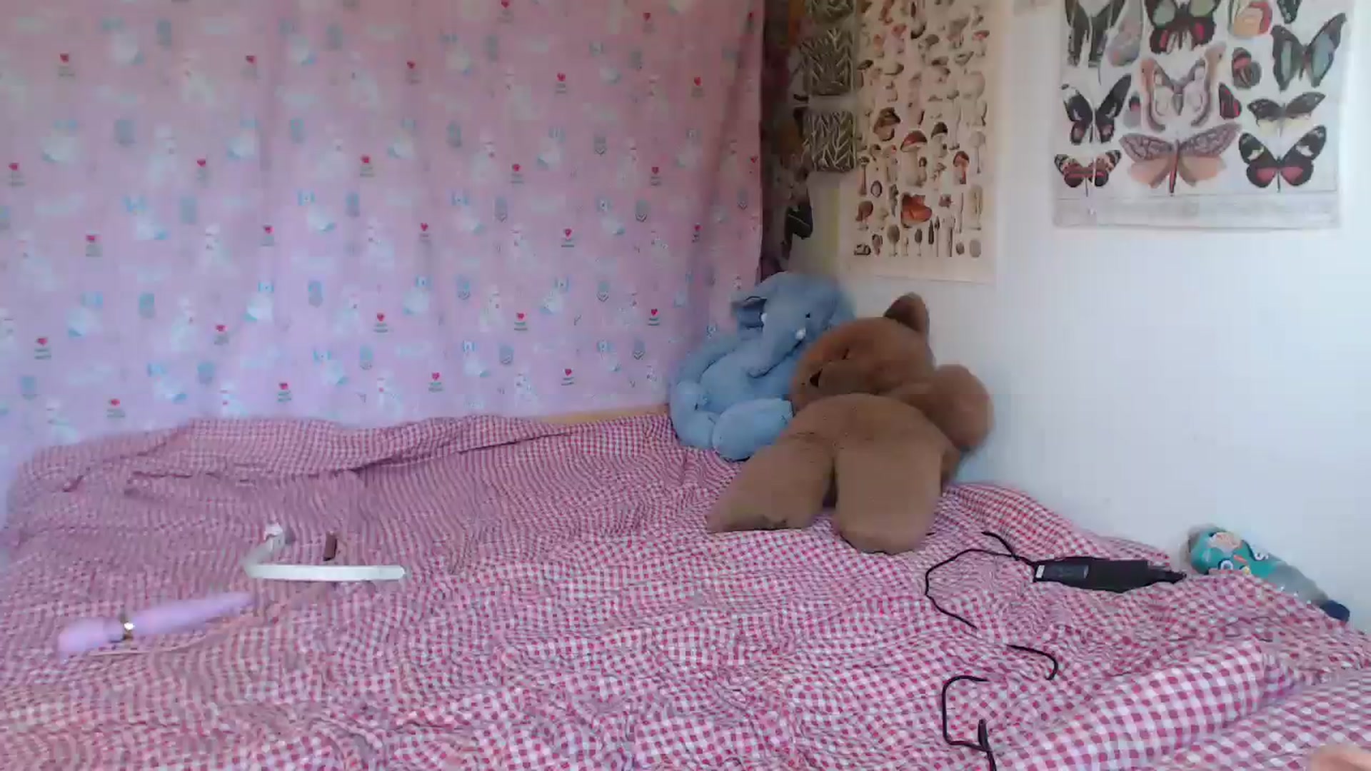 Gallery image thumbnail from Lilbunnyb's myfreecams stream on, 05/20/2024, 11:27 image 12 of 20