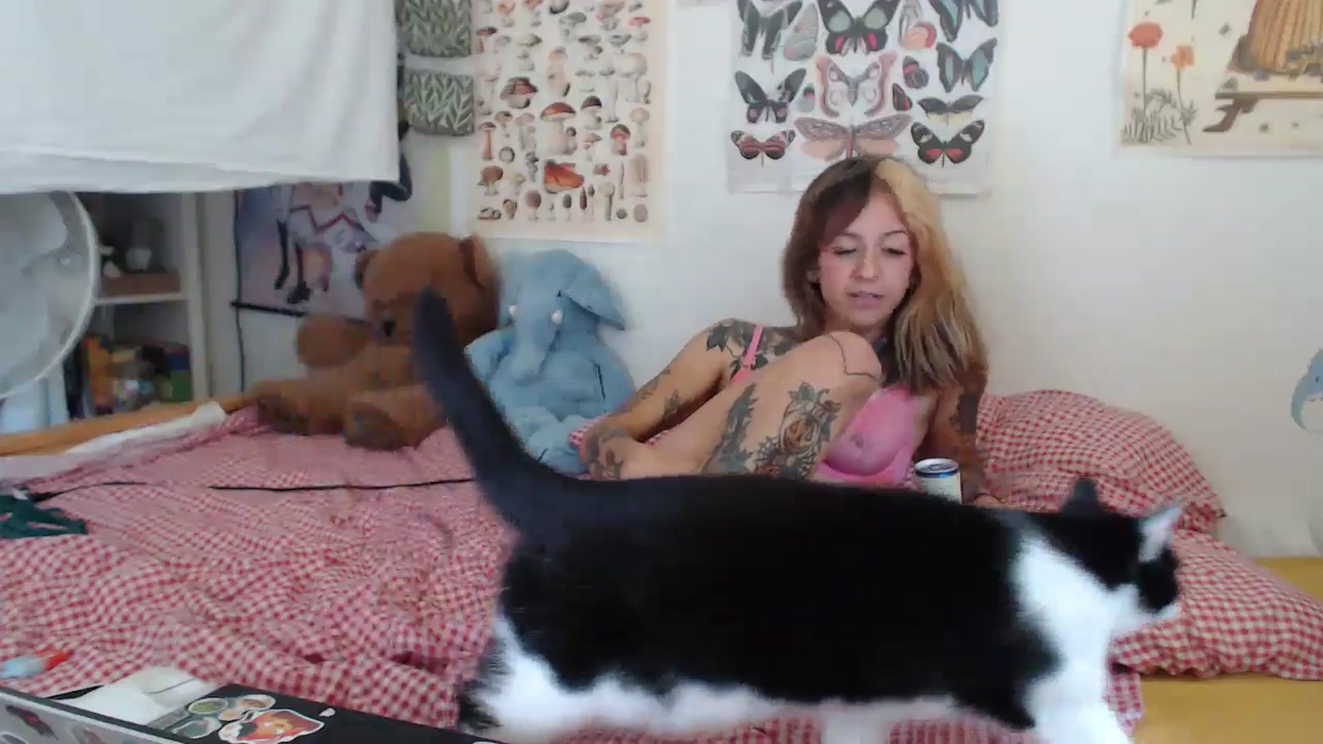 Gallery image thumbnail from Lilbunnyb's myfreecams stream on, 07/10/2024, 12:52 image 17 of 20