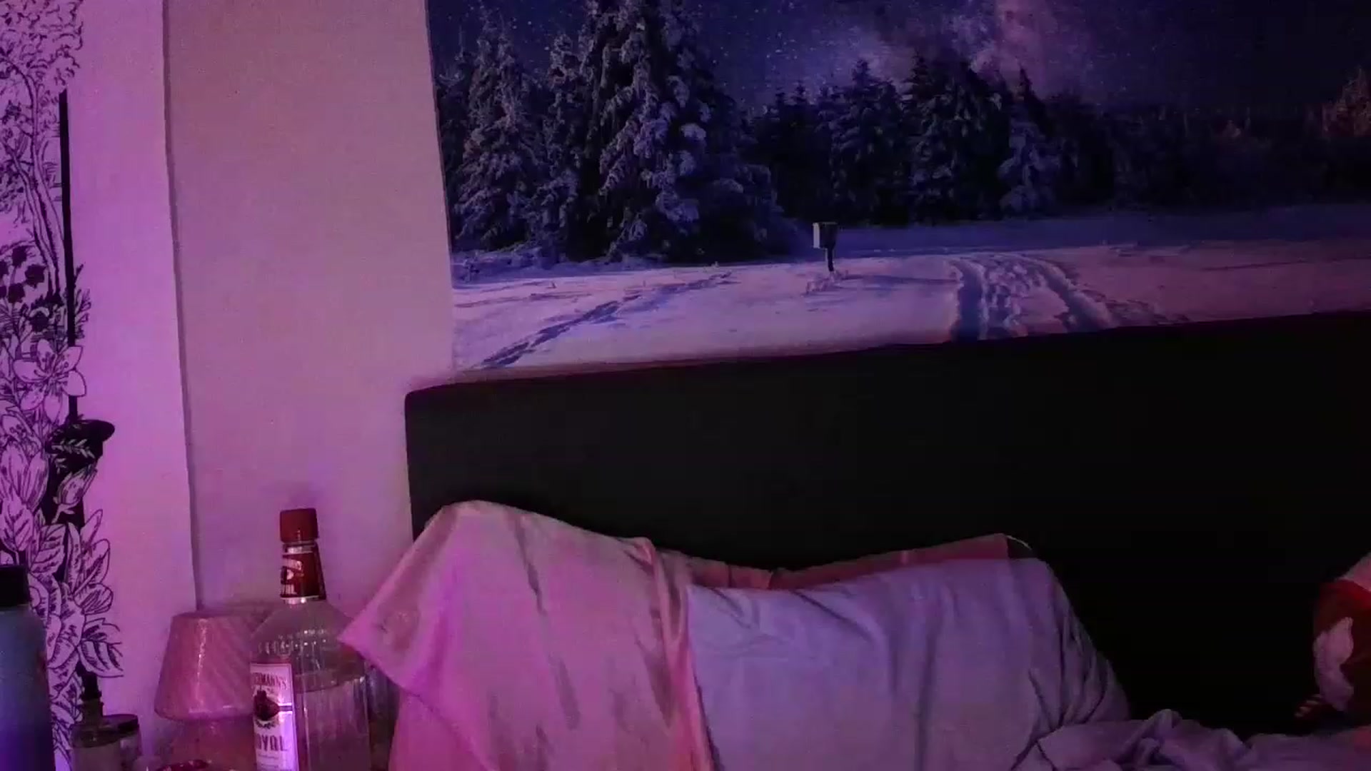 Gallery image thumbnail from LilithCeleste's myfreecams stream on, 12/13/2022, 03:24 image 12 of 20