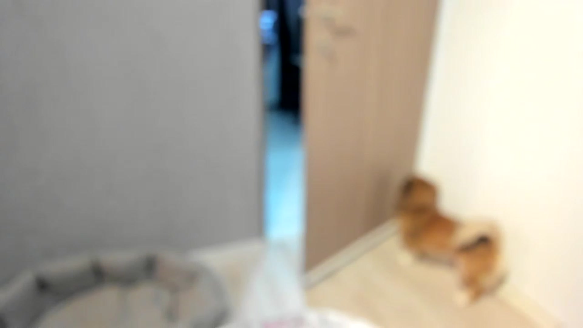 Gallery image thumbnail from LilithTongue_'s myfreecams stream on, 01/13/2023, 16:07 image 11 of 20
