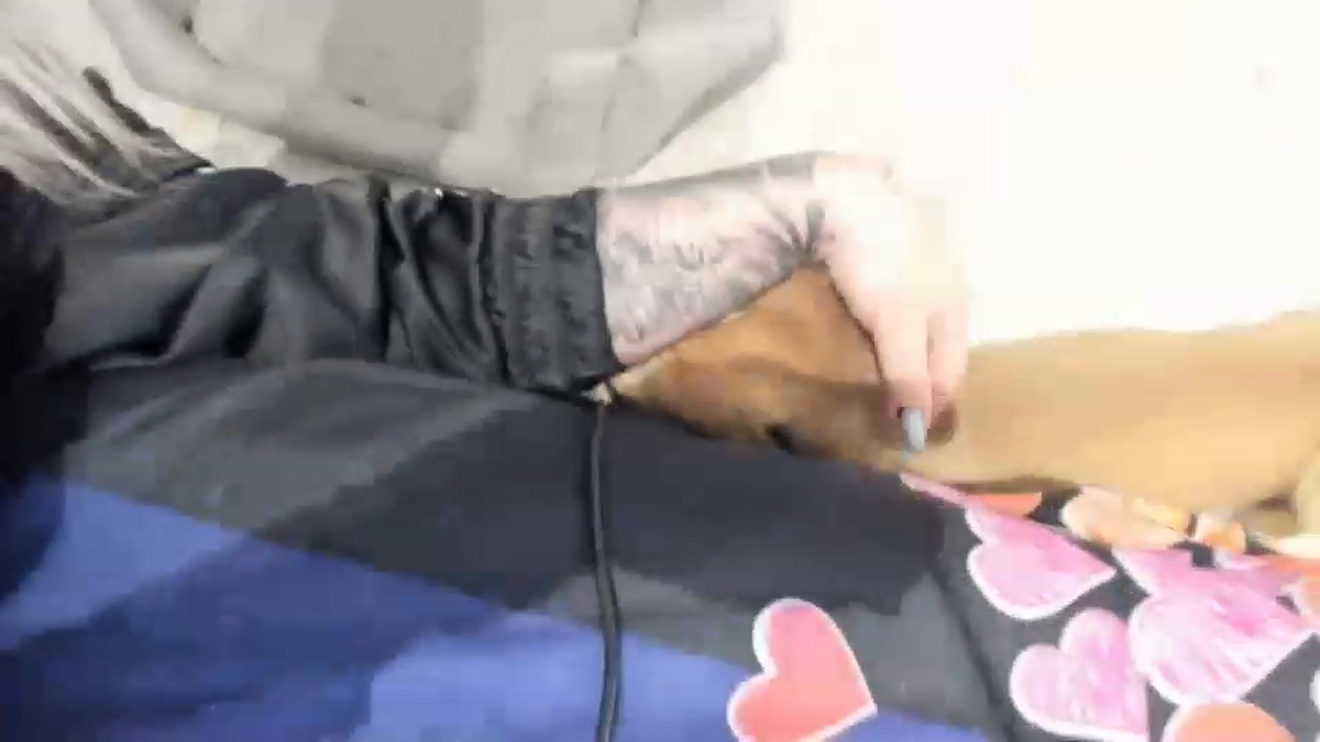 Gallery image thumbnail from LilithTongue_'s myfreecams stream on, 05/11/2023, 14:45 image 14 of 20