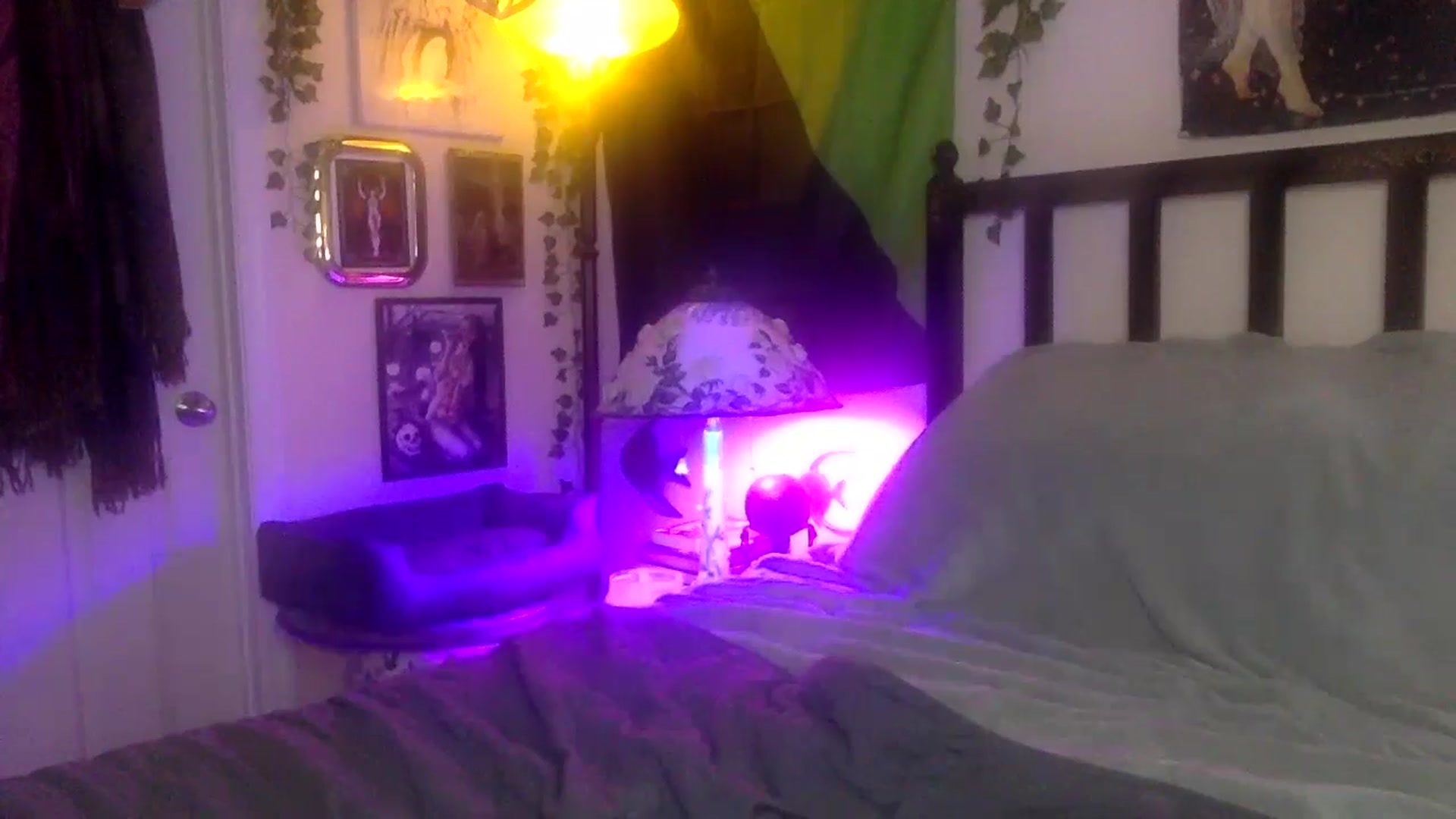 Gallery image thumbnail from LilithWitch's myfreecams stream on, 06/20/2024, 01:21 image 15 of 20