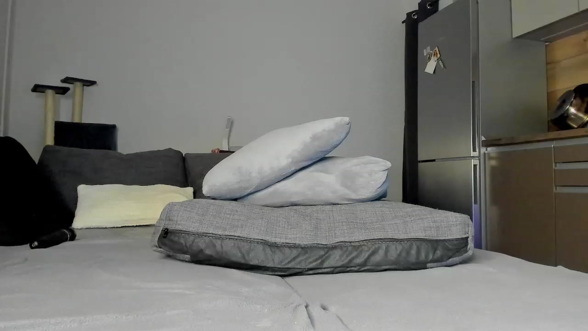 Gallery image thumbnail from Lilith_Lux's myfreecams stream on, 11/12/2023, 21:02 image 4 of 20