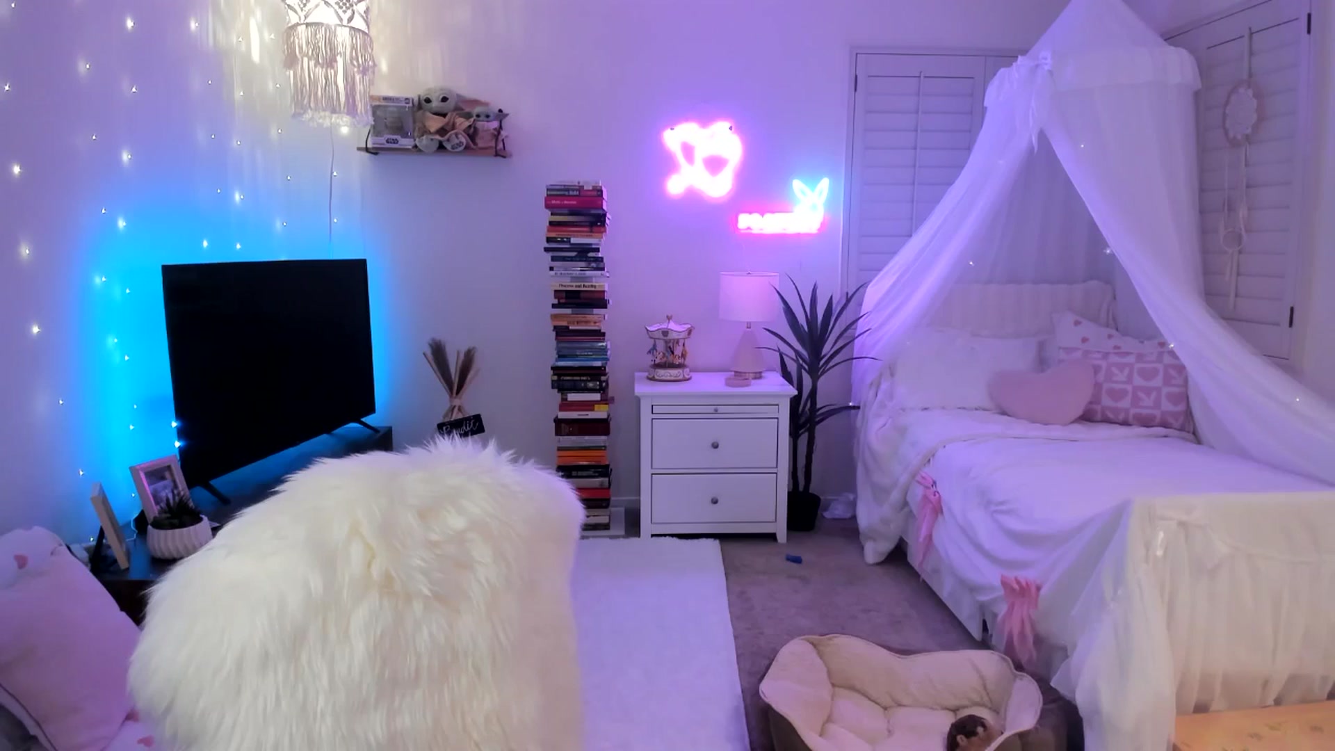 Gallery image thumbnail from LillieQ's myfreecams stream on, 04/23/2025, 11:21 image 9 of 20