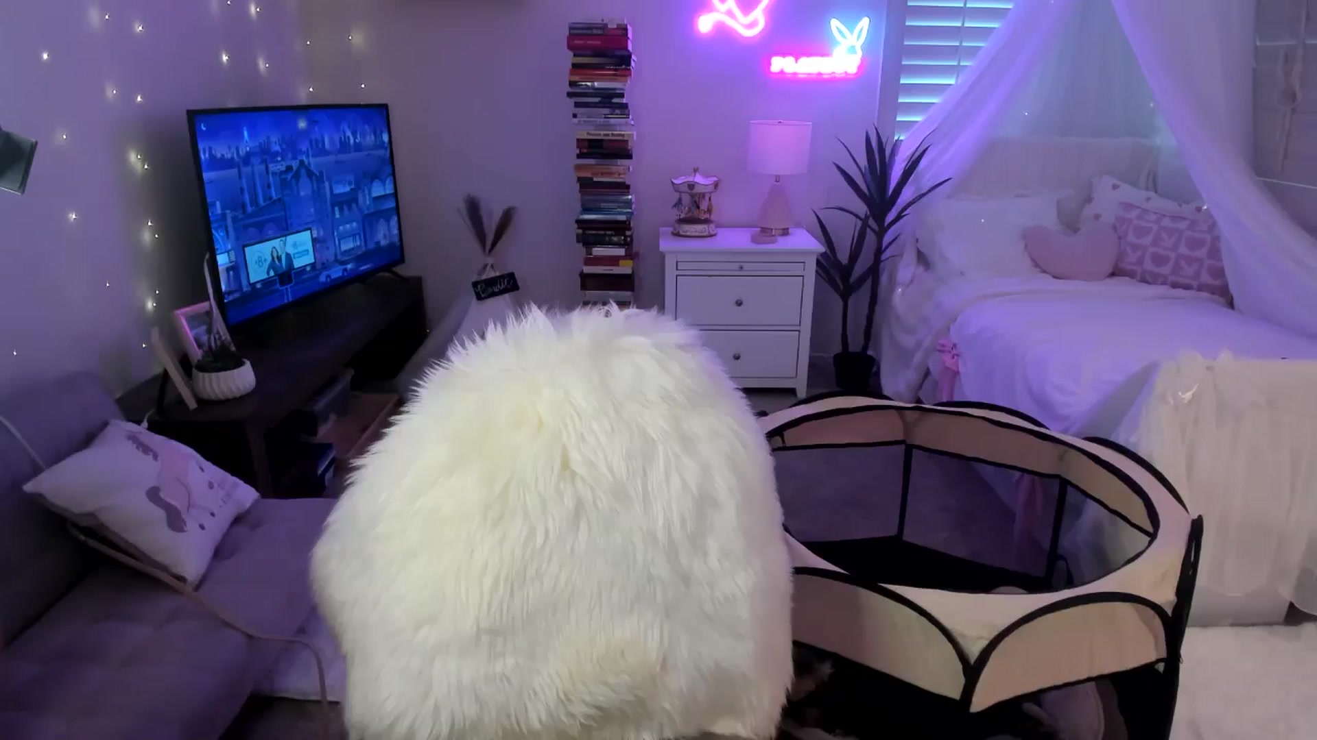 Gallery image thumbnail from LillieQ's myfreecams stream on, 04/24/2025, 14:59 image 20 of 20