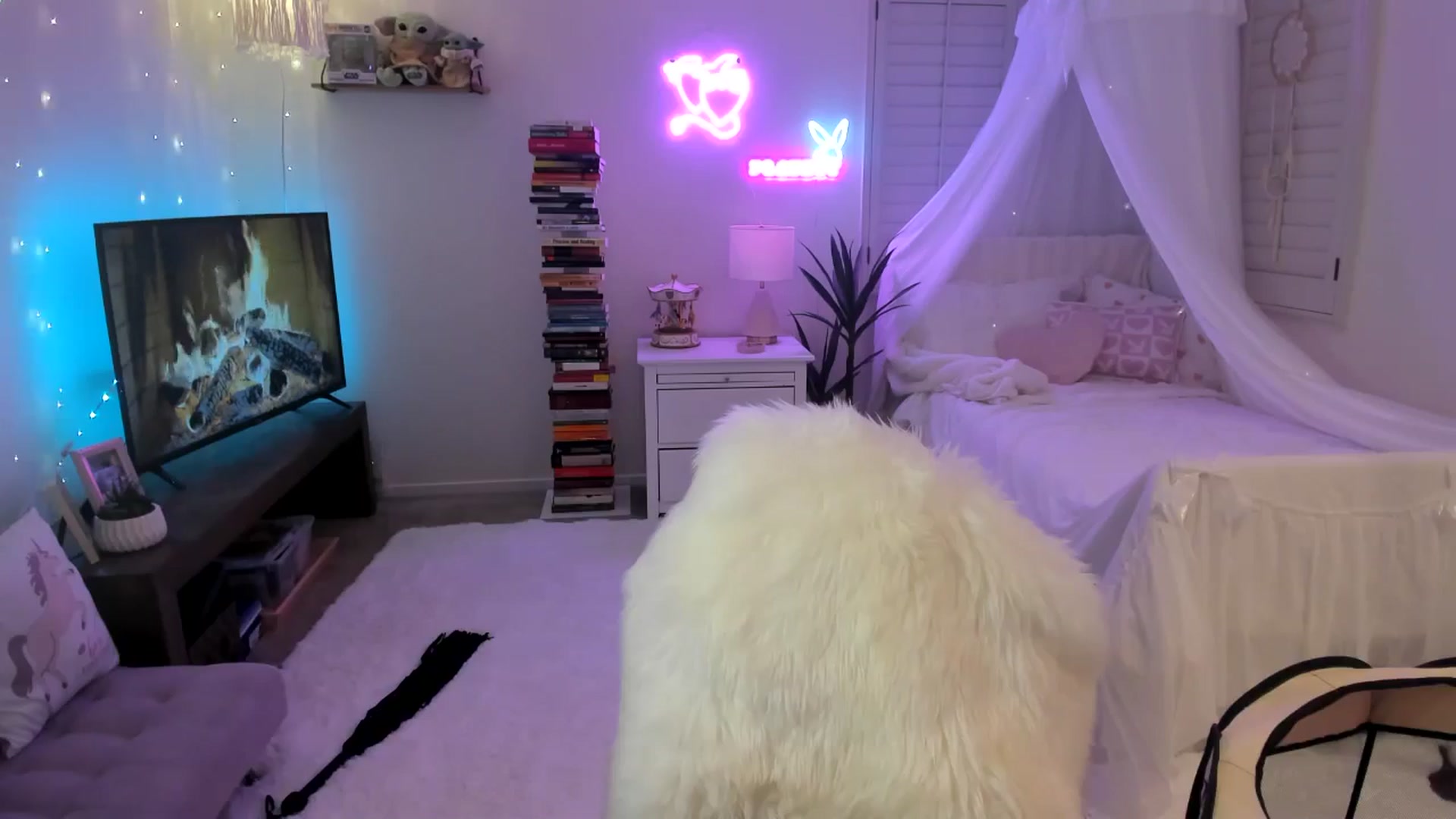 Gallery image thumbnail from LillieQ's myfreecams stream on, 04/26/2025, 09:00 image 20 of 20