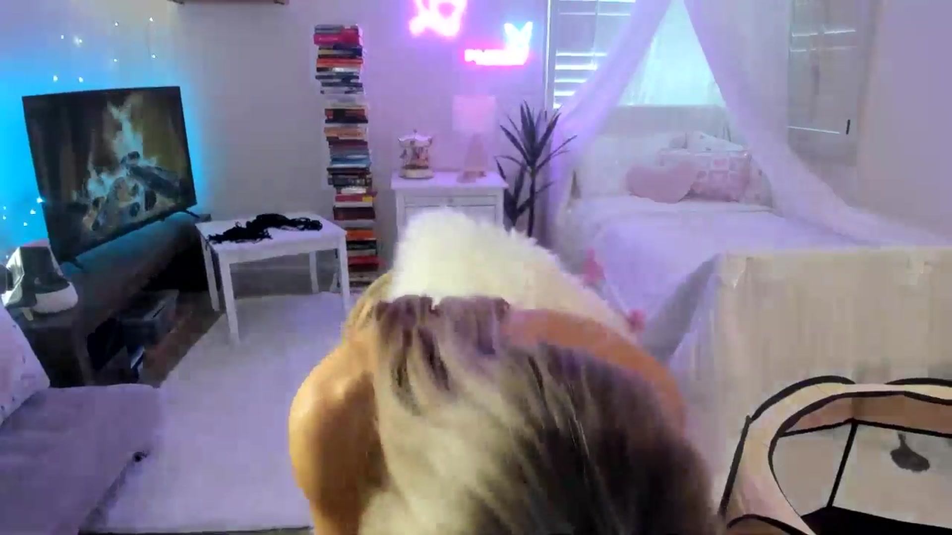 Gallery image thumbnail from LillieQ's myfreecams stream on, 04/26/2025, 16:19 image 14 of 20
