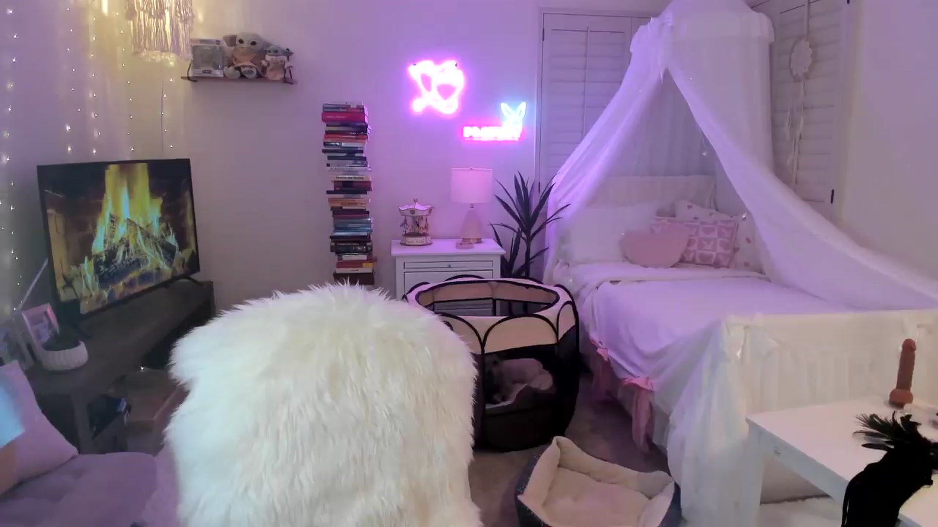 Gallery image thumbnail from LillieQ's myfreecams stream on, 04/29/2025, 12:45 image 12 of 20