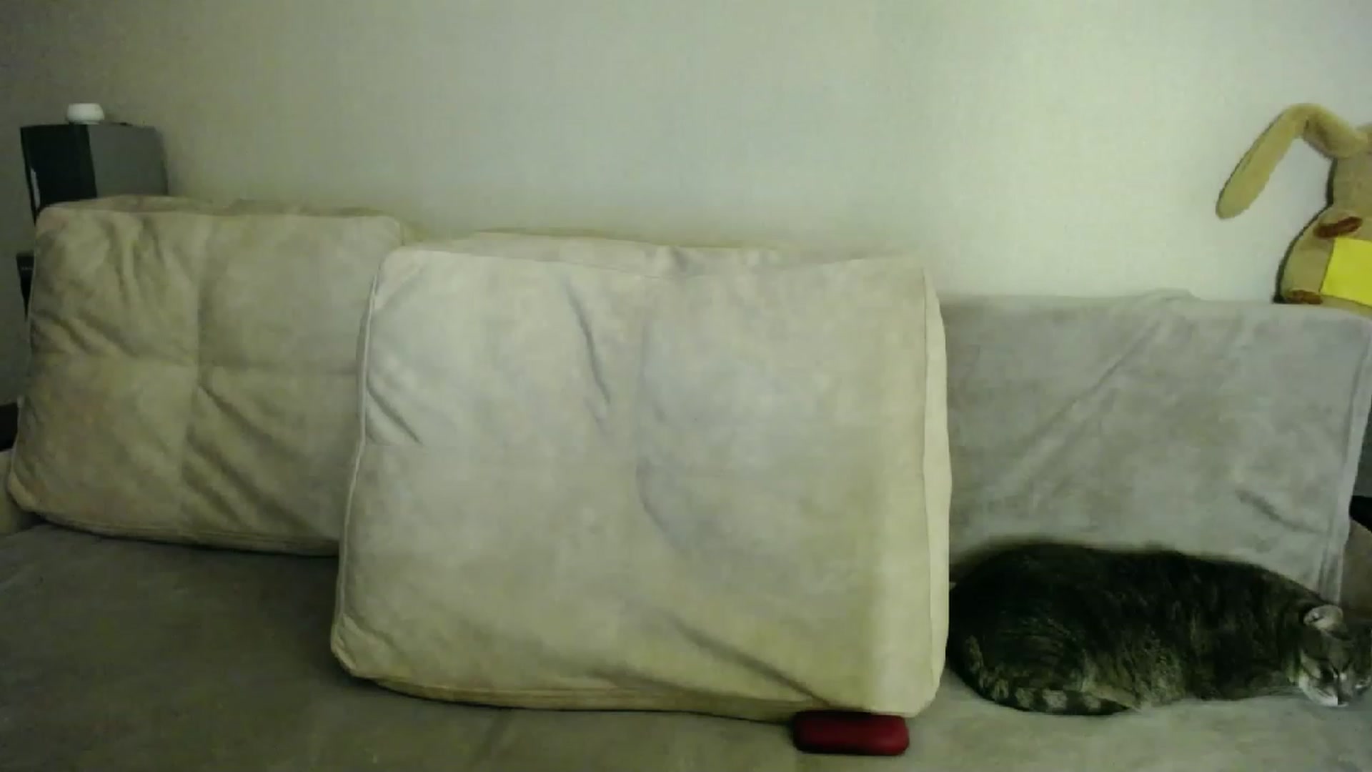 Gallery image thumbnail from Lillit__Wood_'s myfreecams stream on, 05/29/2023, 24:02 image 13 of 20