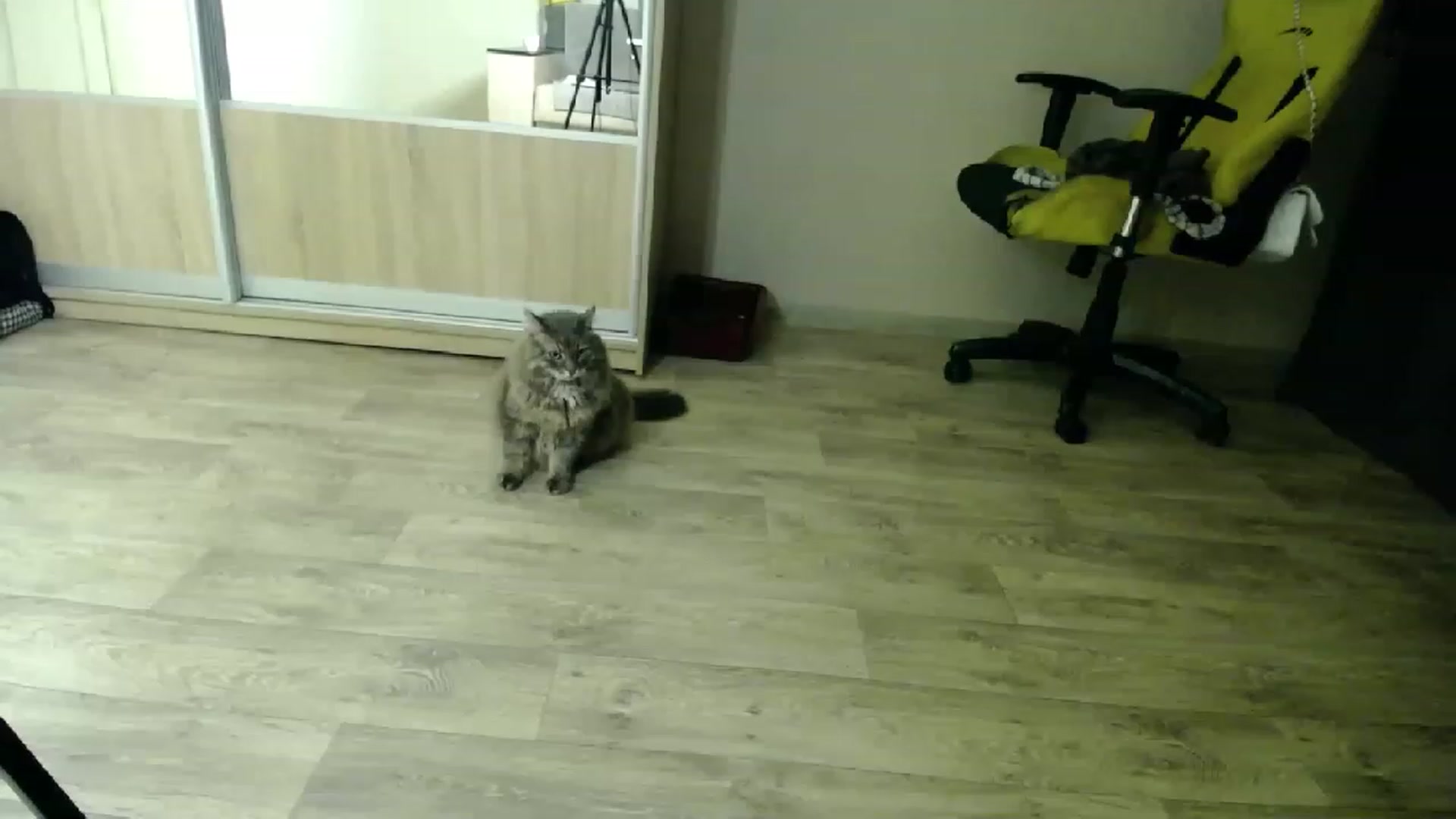 Gallery image thumbnail from Lillit__Wood_'s myfreecams stream on, 05/29/2023, 24:02 image 18 of 20
