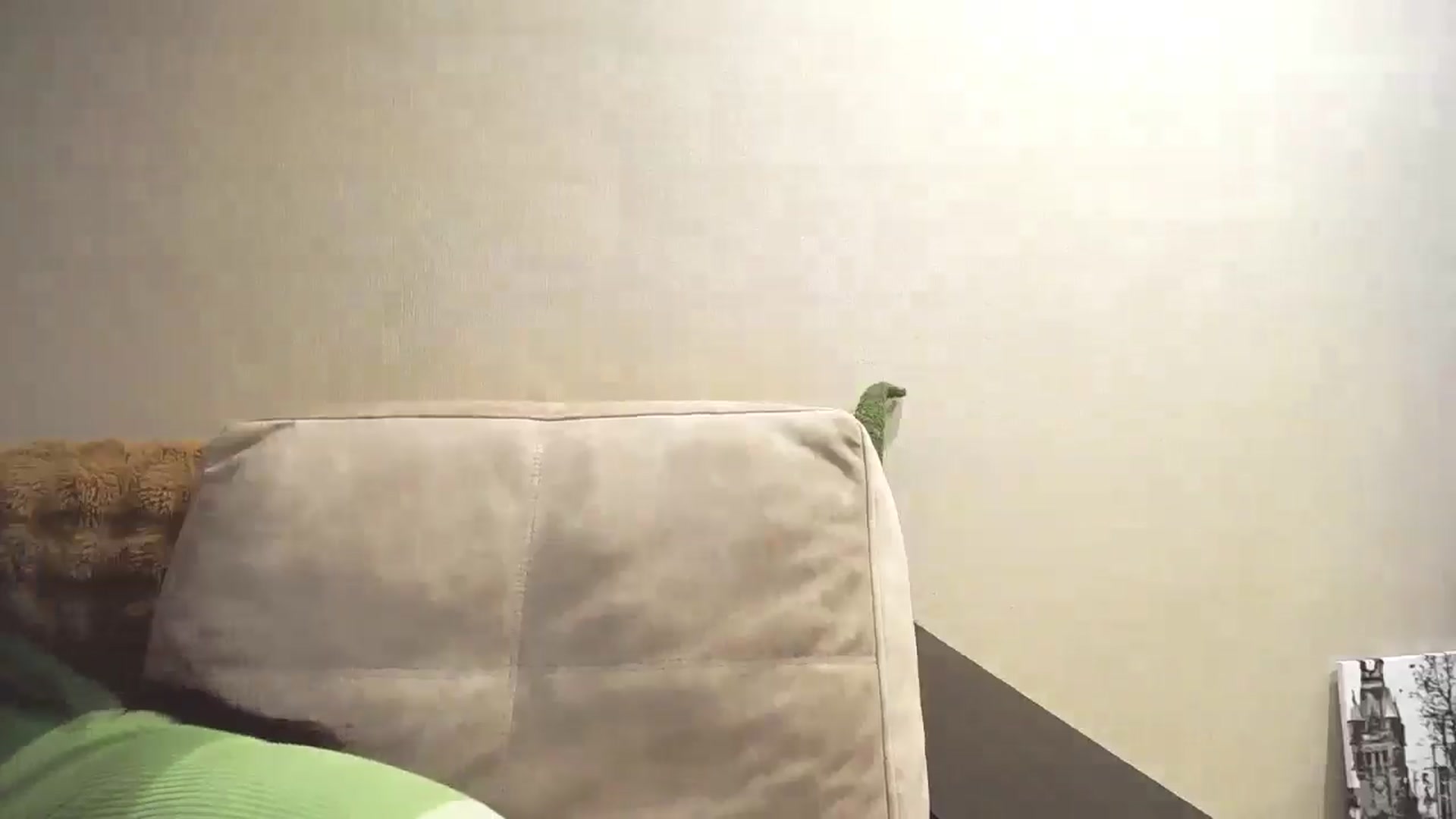 Gallery image thumbnail from Lillit__Wood_'s myfreecams stream on, 05/05/2025, 13:08 image 17 of 20