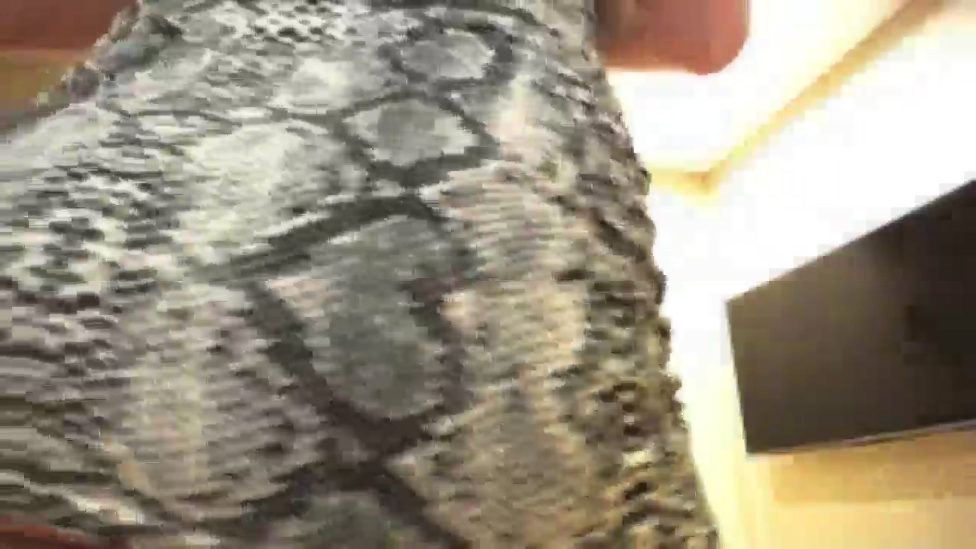 Gallery image thumbnail from Lillit__Wood_'s myfreecams stream on, 10/14/2025, 17:50 image 17 of 20