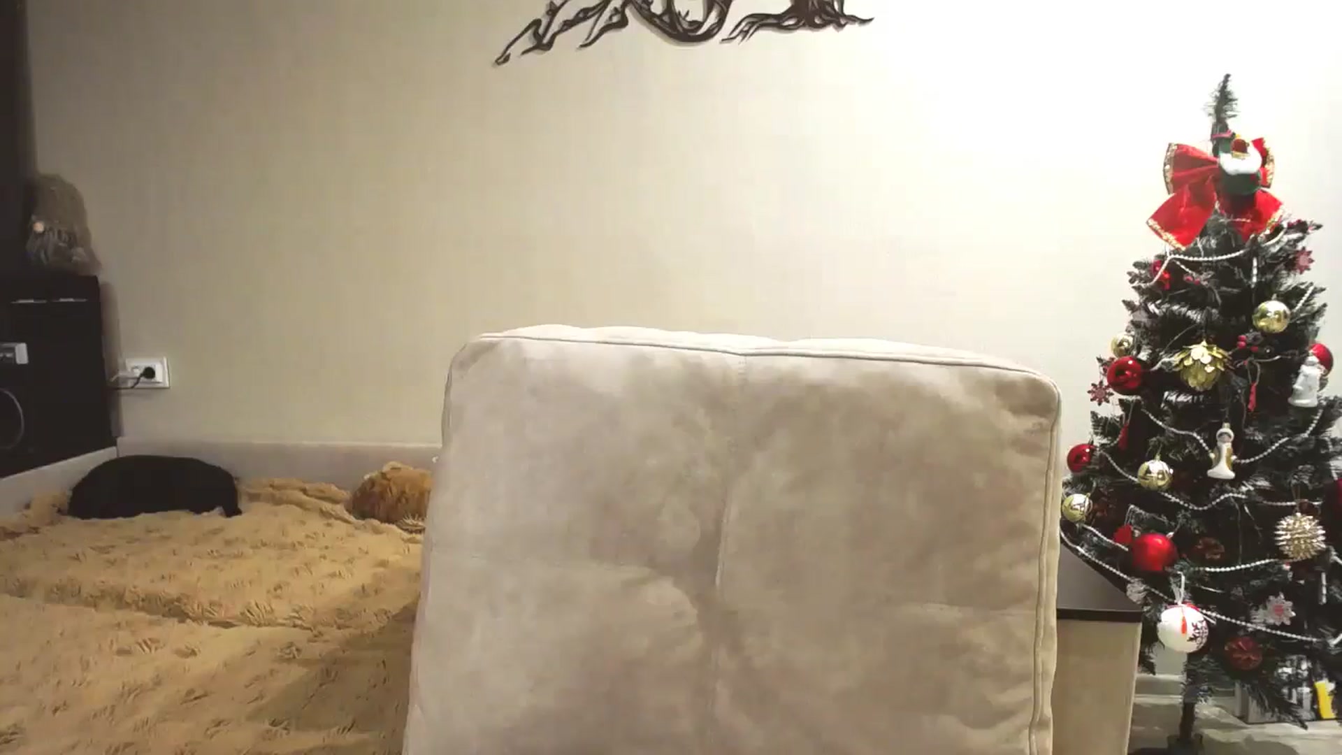 Gallery image thumbnail from Lillit__Wood_'s myfreecams stream on, 12/16/2025, 17:39 image 15 of 20