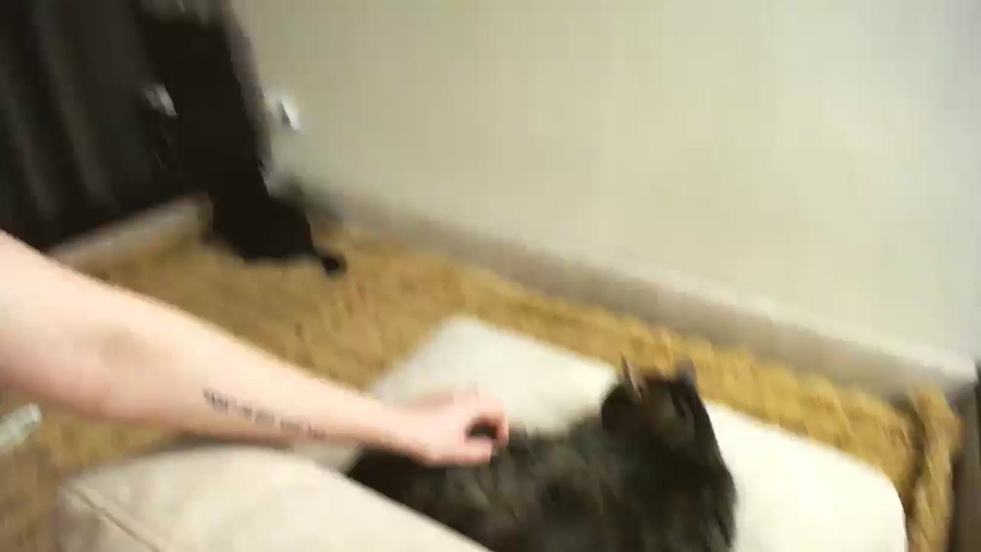 Gallery image thumbnail from Lillit__Wood_'s myfreecams stream on, 02/28/2026, 18:58 image 13 of 20