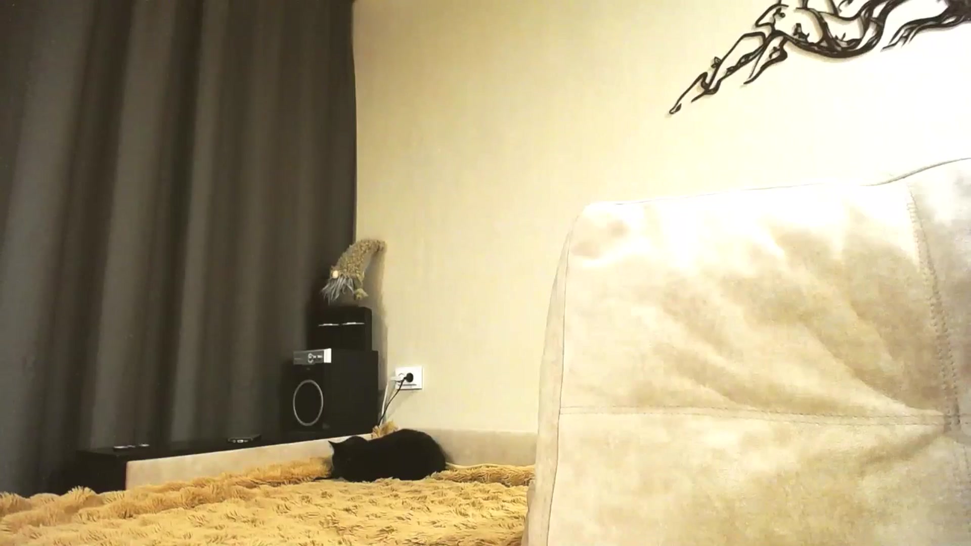 Gallery image thumbnail from Lillit__Wood_'s myfreecams stream on, 04/25/2026, 21:42 image 17 of 20