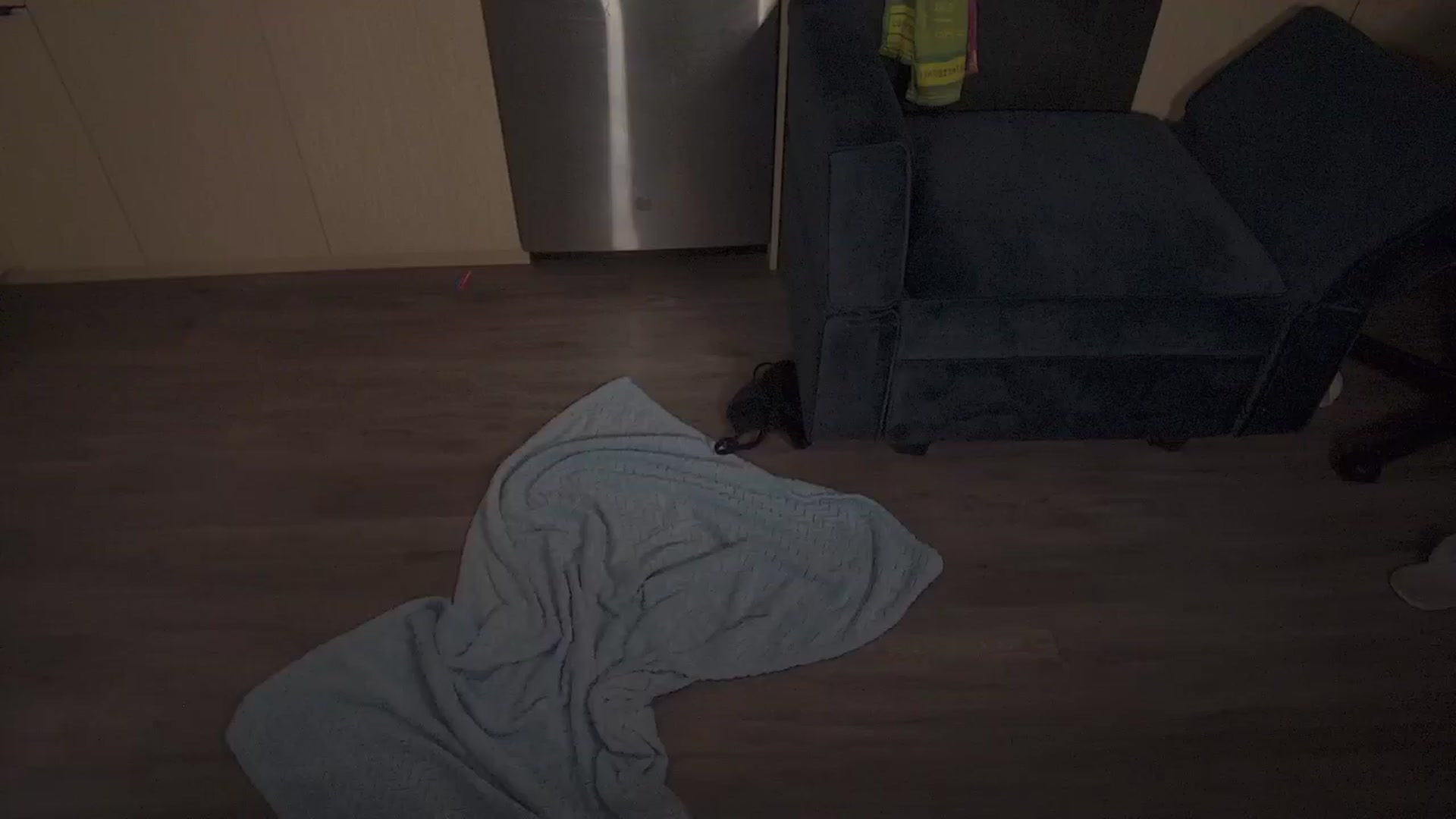 Gallery image thumbnail from LillyRayne's myfreecams stream on, 11/11/2025, 10:55 image 1 of 20