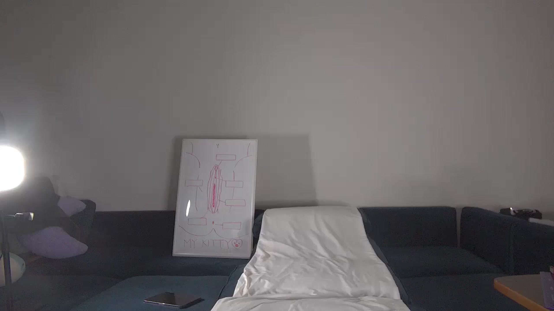Gallery image thumbnail from LillyRayne's myfreecams stream on, 01/20/2026, 09:20 image 7 of 20