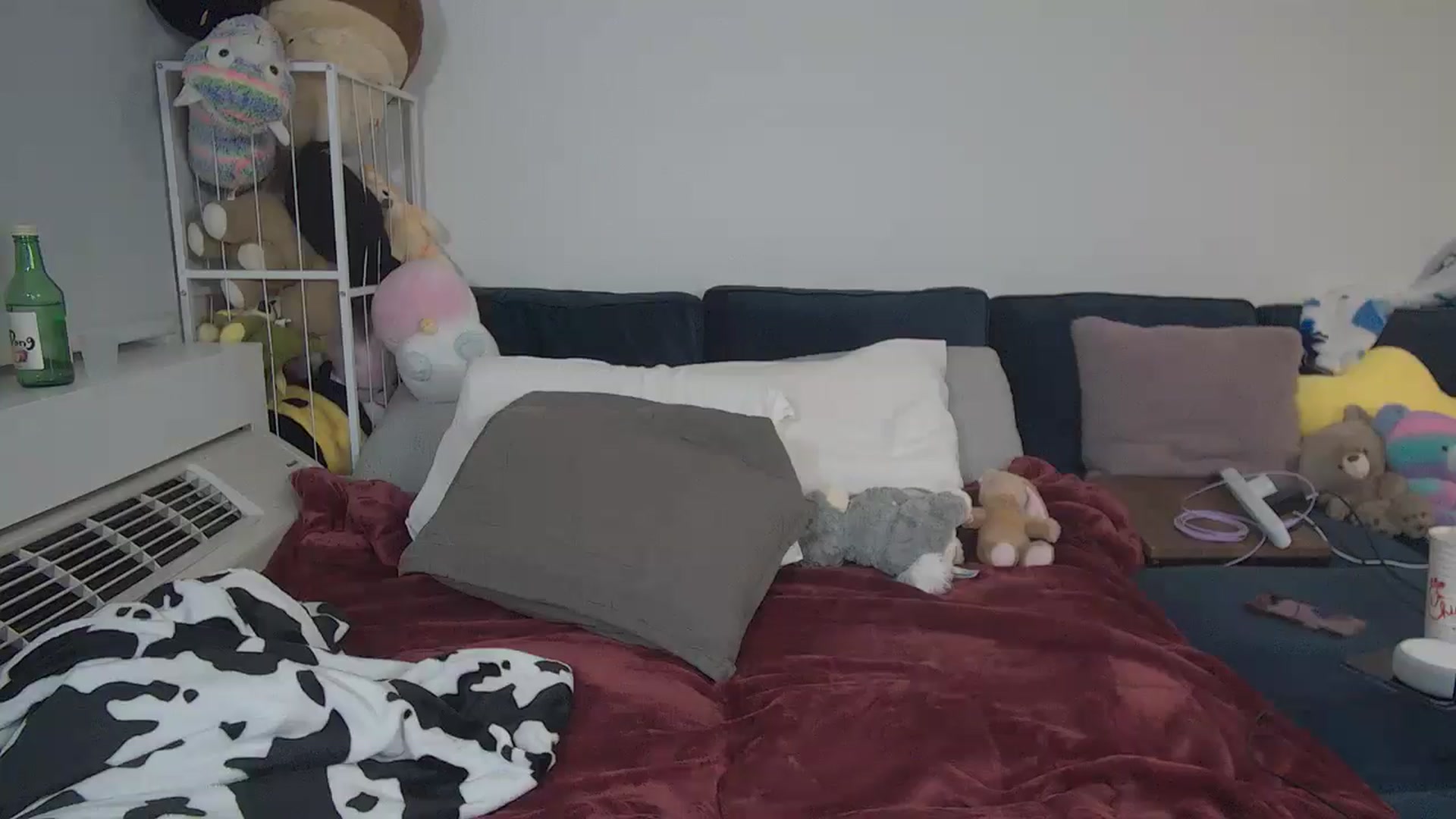 Gallery image thumbnail from LillyRayne's myfreecams stream on, 01/31/2026, 11:20 image 3 of 20