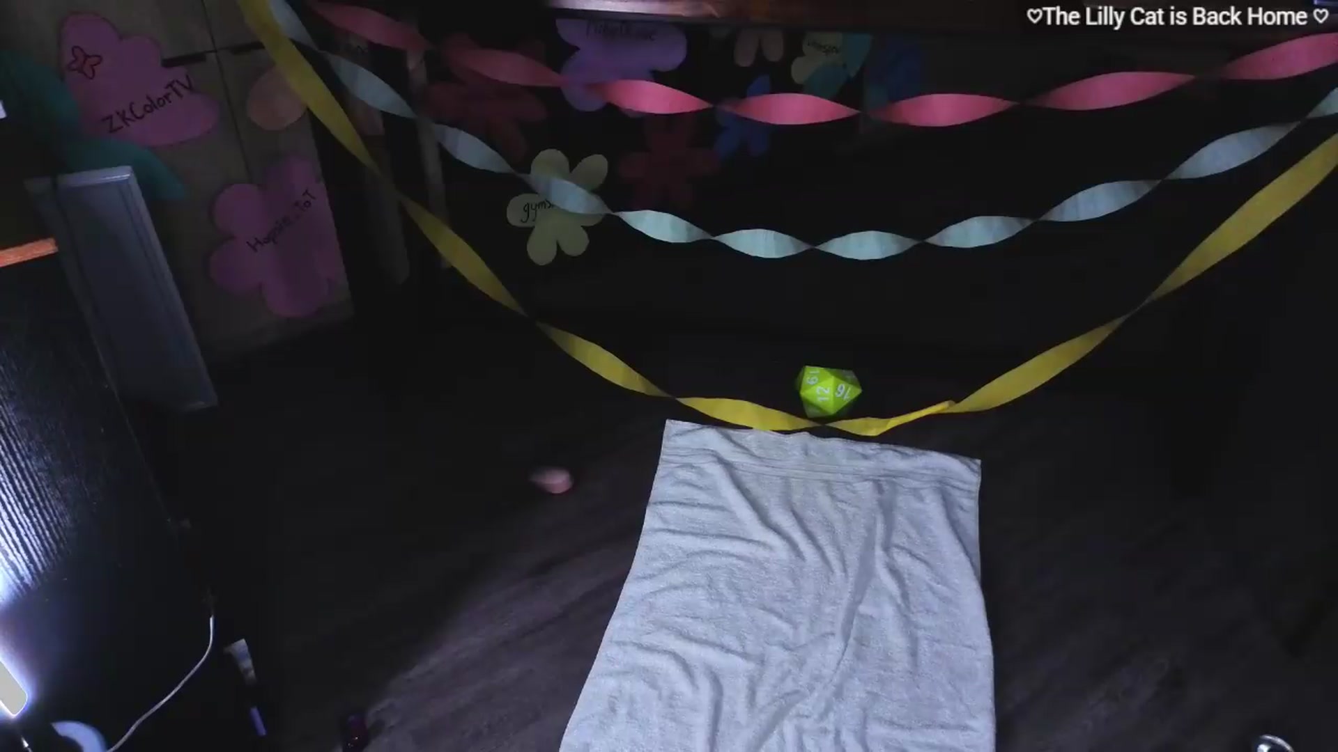 Gallery image thumbnail from LillyRayne's myfreecams stream on, 05/24/2026, 12:48 image 3 of 20