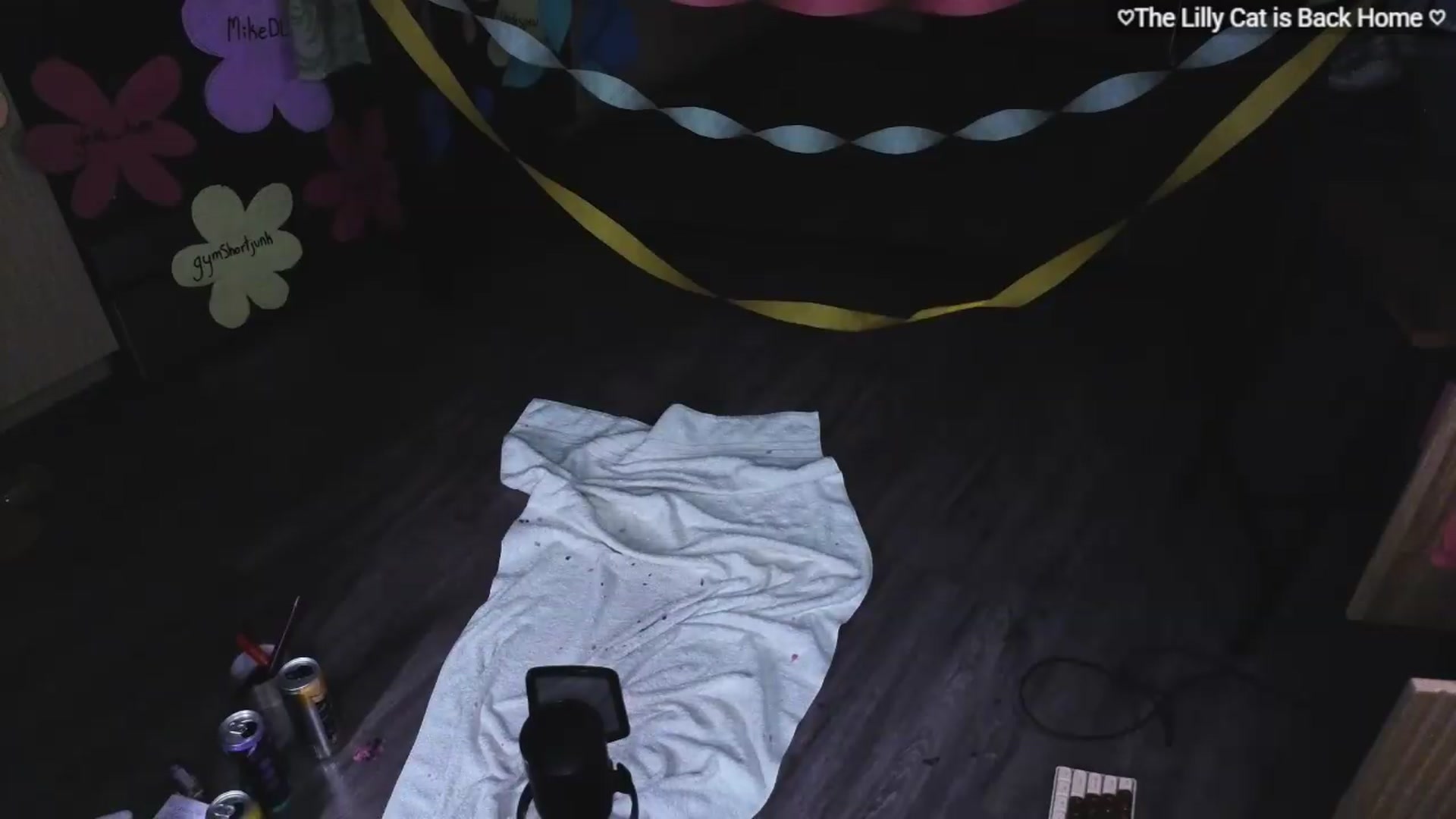 Gallery image thumbnail from LillyRayne's myfreecams stream on, 05/24/2026, 12:48 image 17 of 20