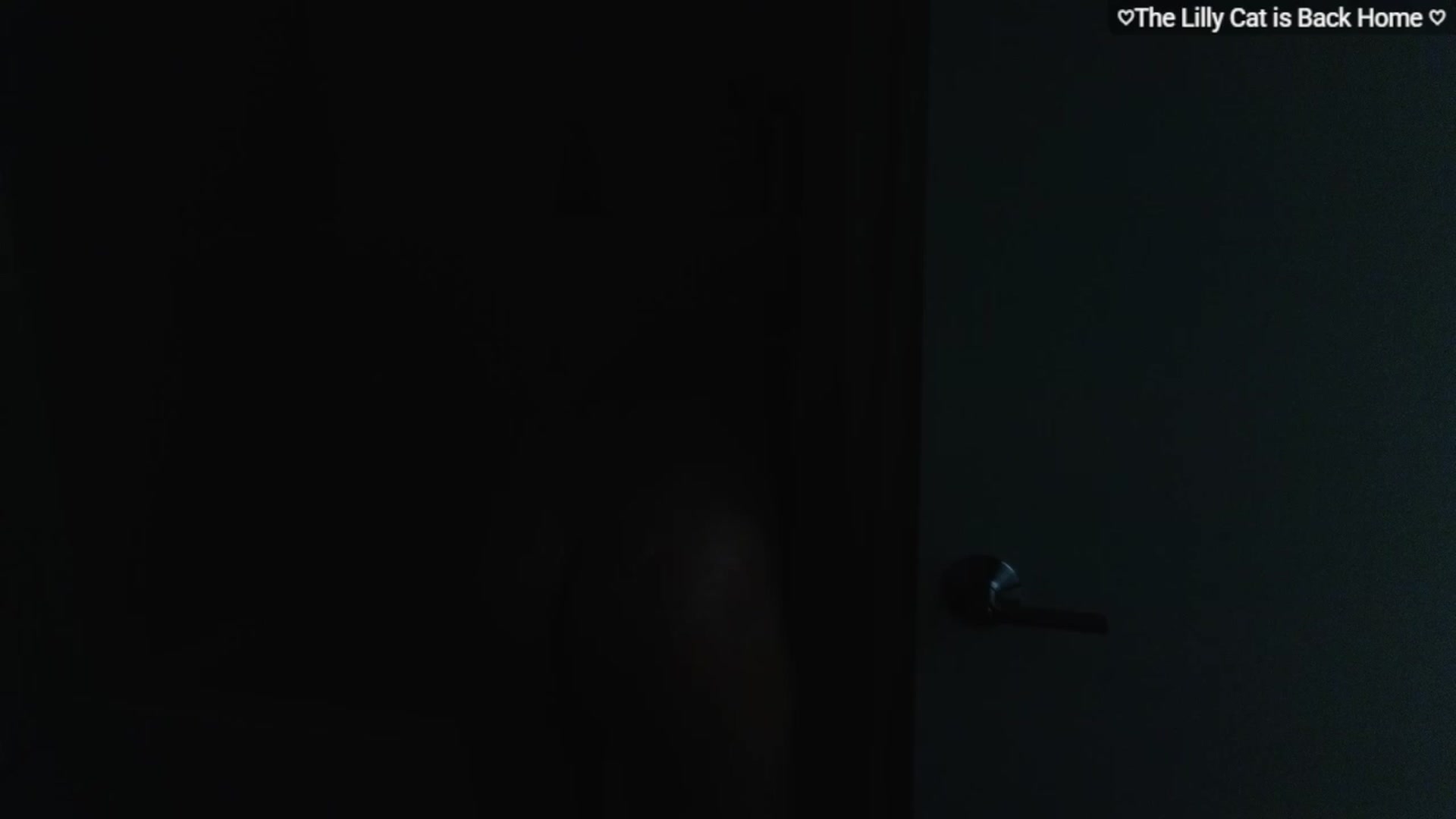 Gallery image thumbnail from LillyRayne's myfreecams stream on, 05/24/2026, 15:33 image 17 of 20