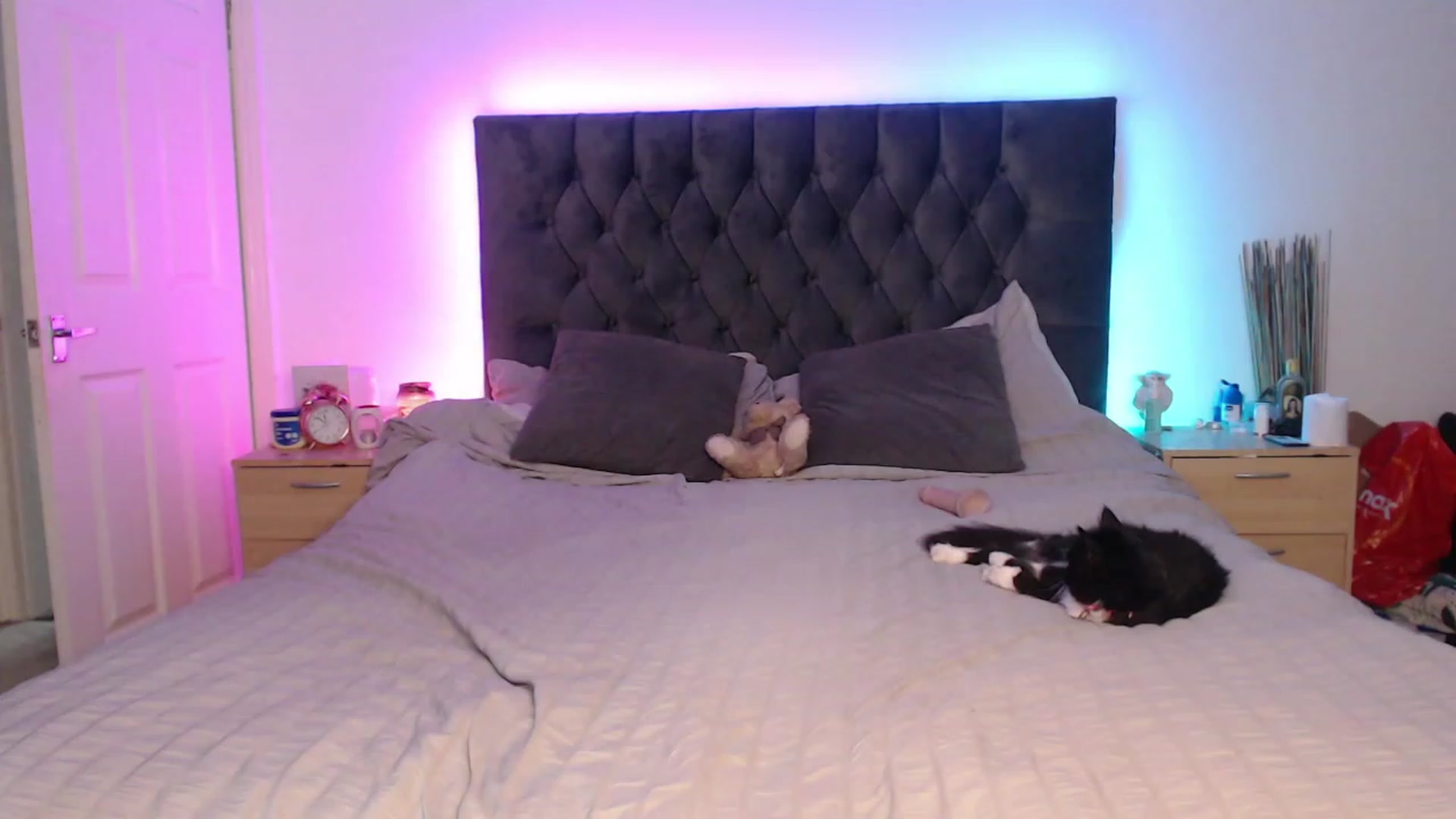 Gallery image thumbnail from LillySiren's myfreecams stream on, 05/30/2023, 13:26 image 14 of 20