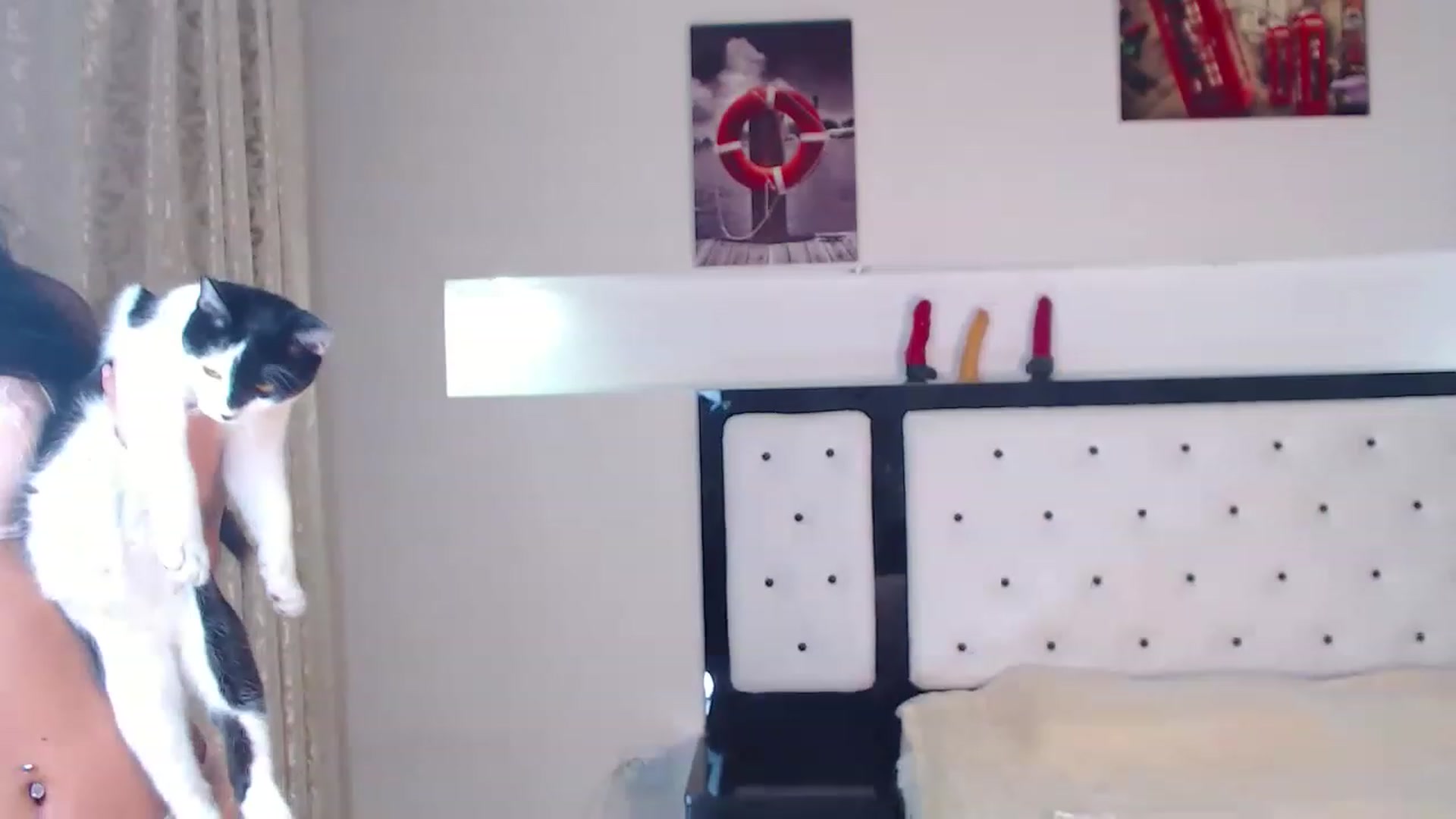 Gallery image thumbnail from Lilly_1's myfreecams stream on, 12/10/2022, 16:21 image 15 of 20