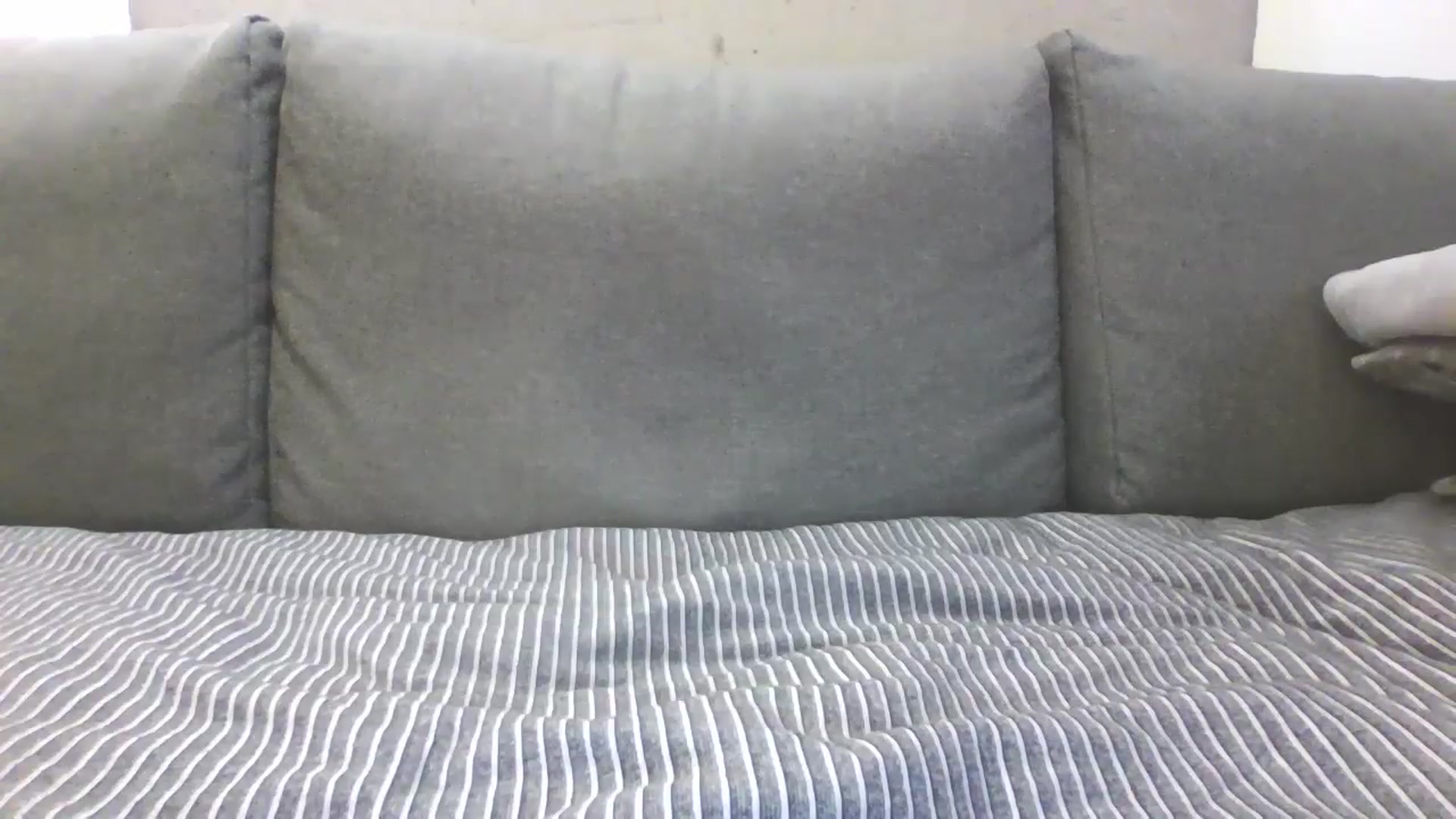 Gallery image thumbnail from Lilly_Kersus's myfreecams stream on, 12/20/2024, 13:19 image 20 of 20