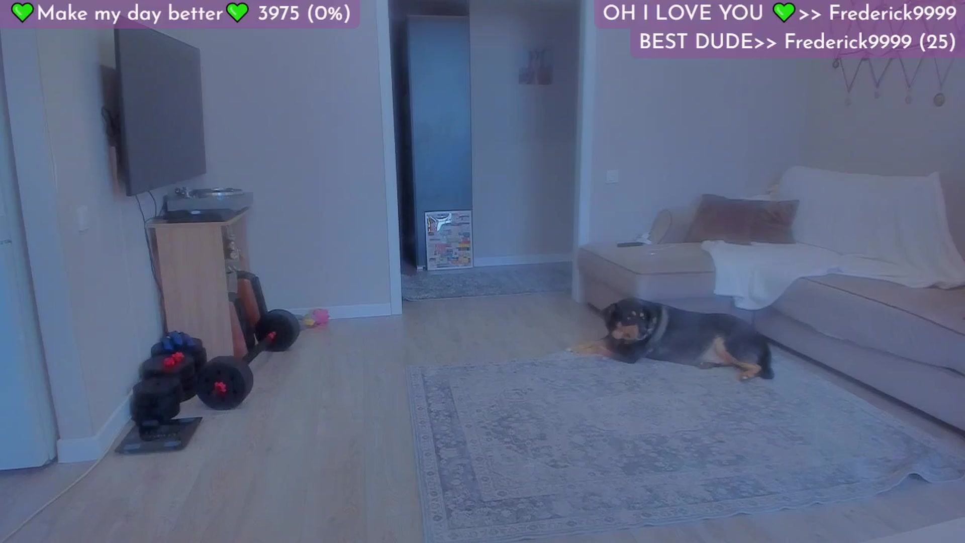 Gallery image thumbnail from Lilu_rock's myfreecams stream on, 08/25/2025, 13:51 image 1 of 20