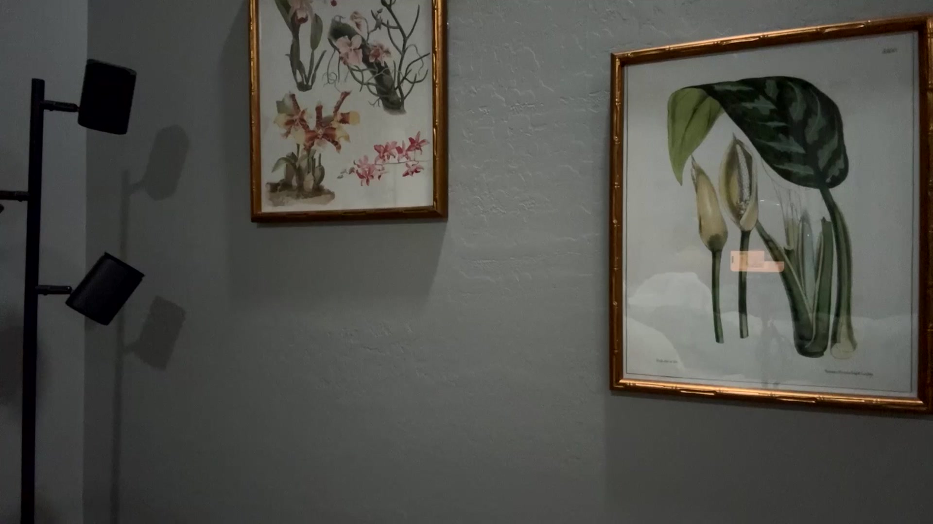 Gallery image thumbnail from LilyFord's myfreecams stream on, 02/22/2026, 06:27 image 8 of 20