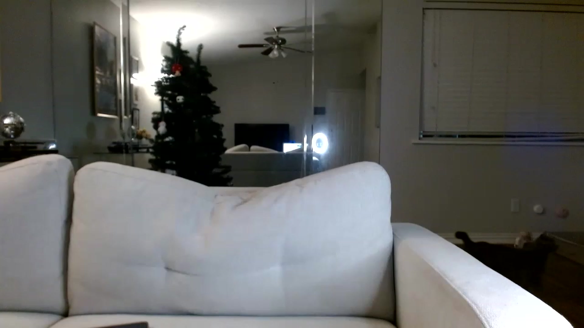 Gallery image thumbnail from Lina6666's myfreecams stream on, 11/25/2022, 10:40 image 8 of 20