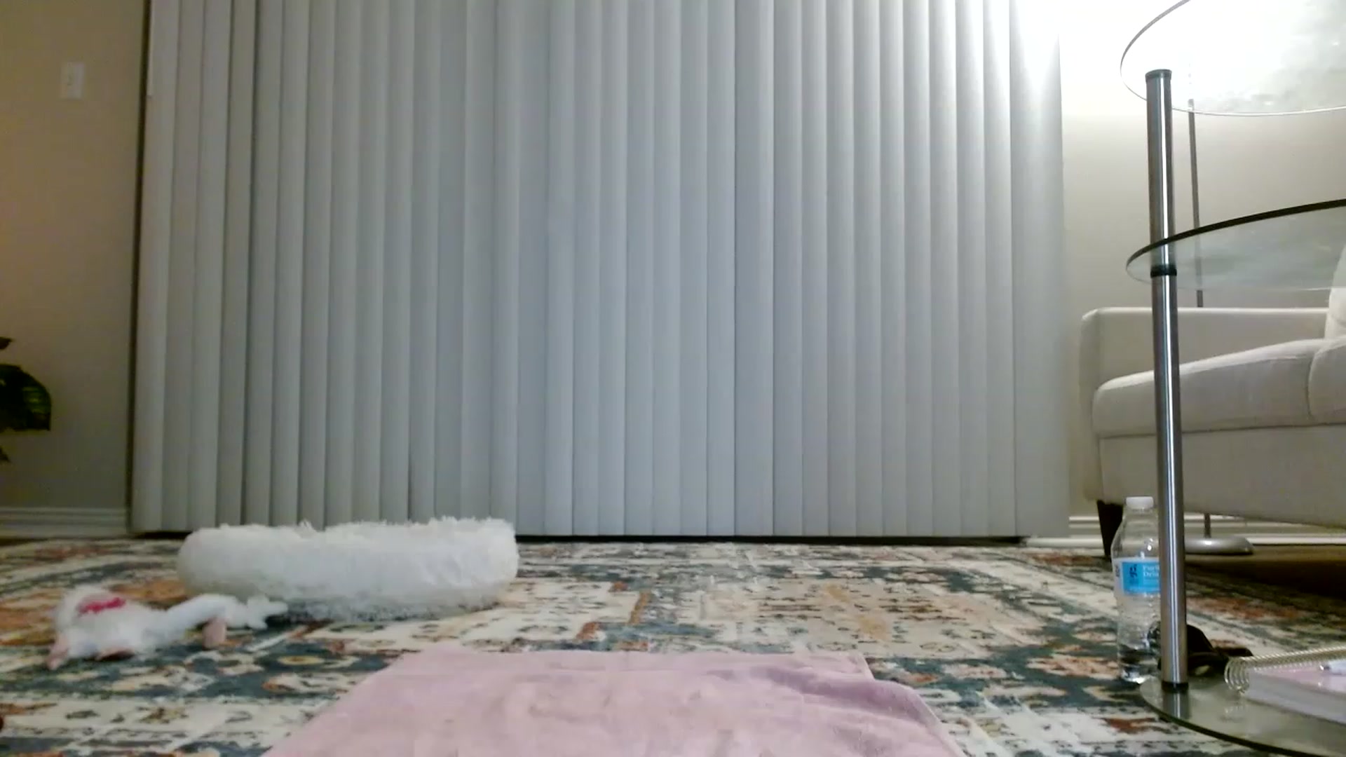 Gallery image thumbnail from Lina6666's myfreecams stream on, 12/11/2022, 12:23 image 18 of 20